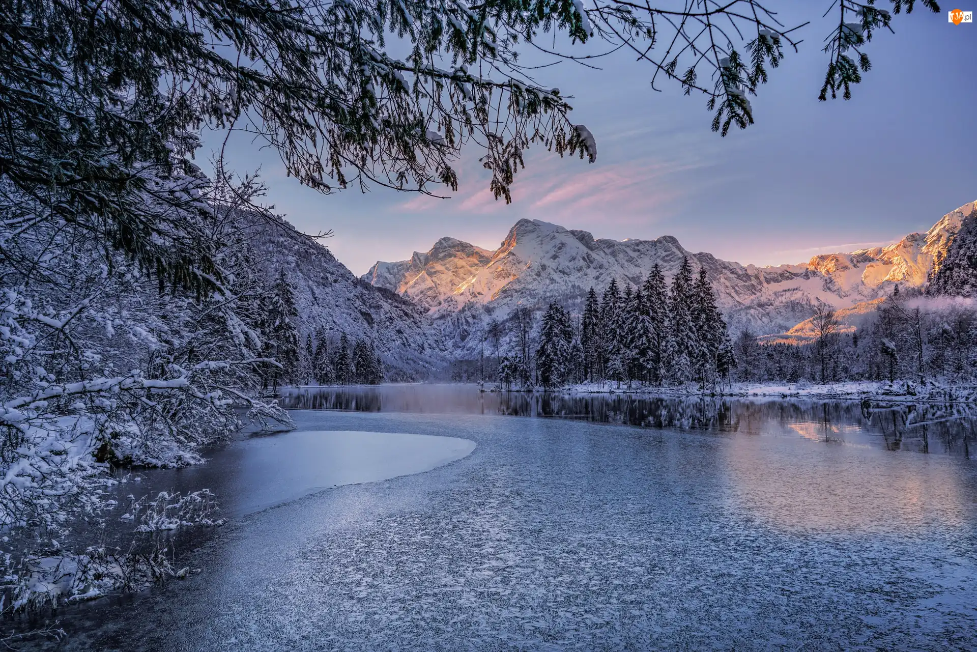 Drzewa, Region	Górna Austria, Ośnieżone, Wschód słońca, Las, Austria, Alpy, Zima, Góry, Totes Gebirge, Jezioro Almsee, Świerki