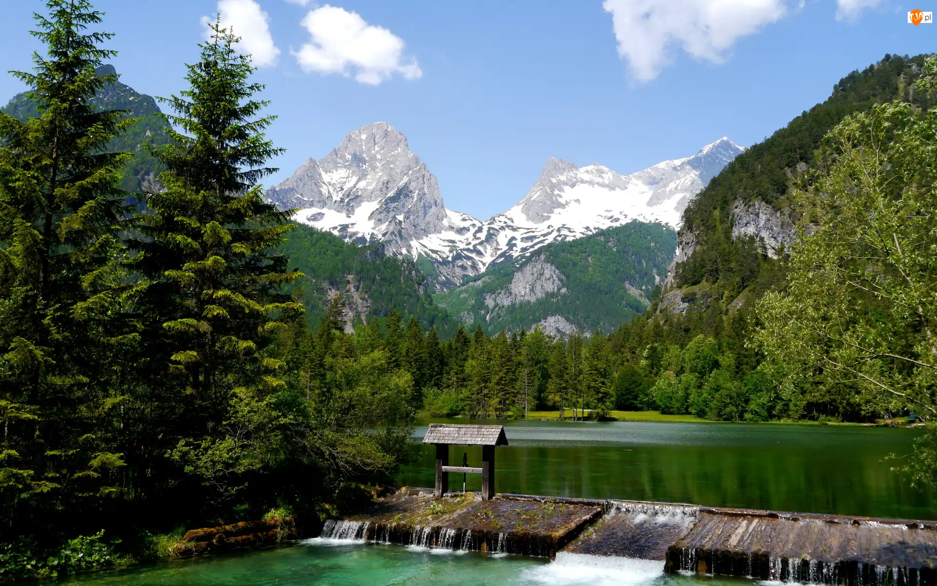 Alpy, Las, Austria, Góry, Hinterstoder, Jesioro Schiederweiher, Drzewa