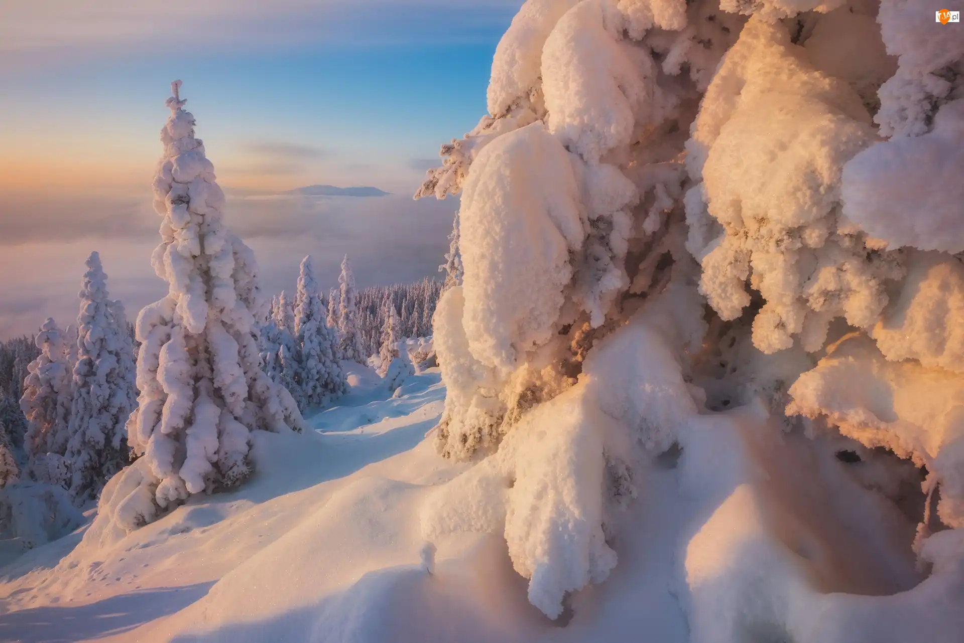 Góry Ural, Południowy Ural, Zaspy, Rosja, Drzewa, Ośnieżone, Zima