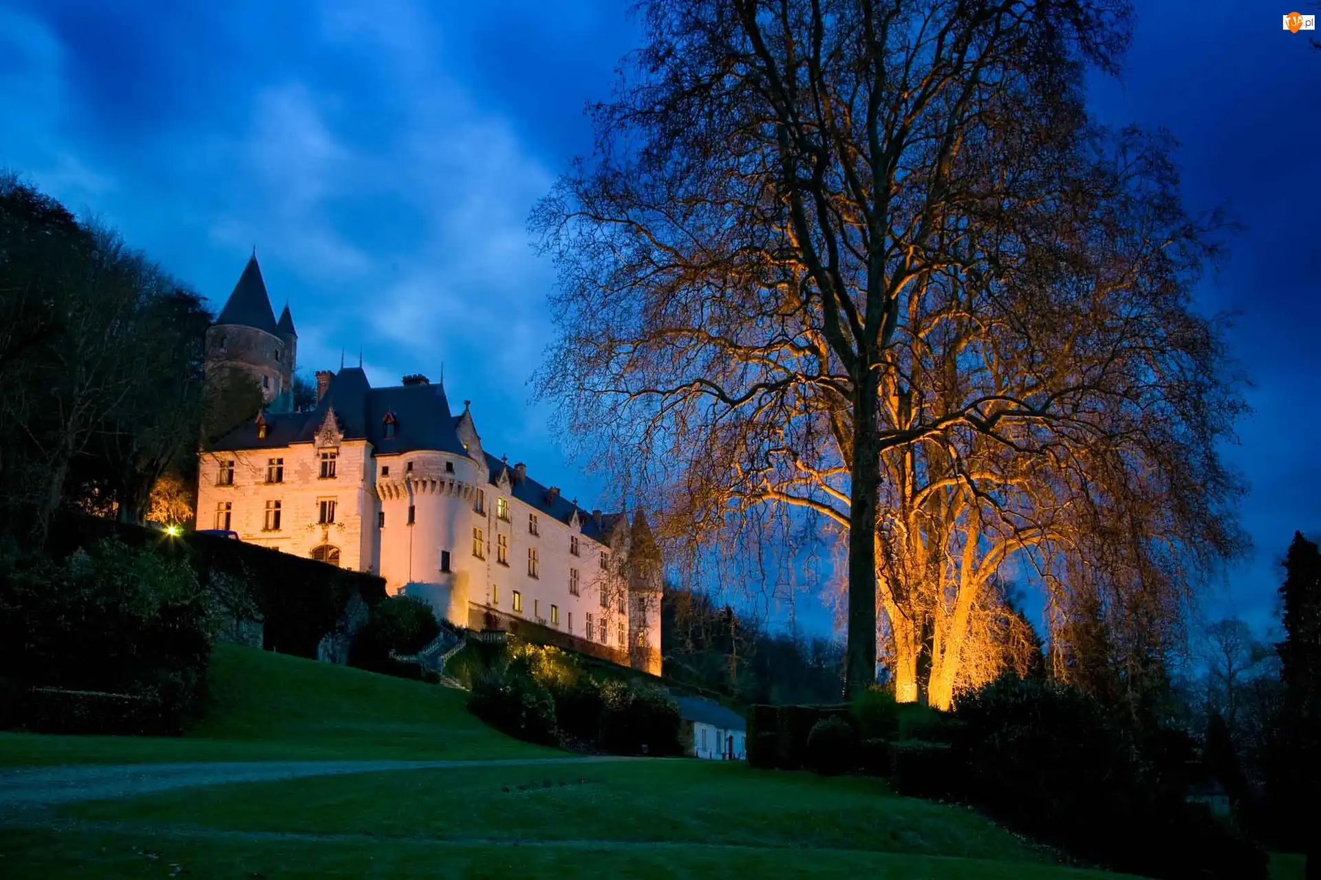 Amboise, Noc, Zamek, Oświetlony, Francja