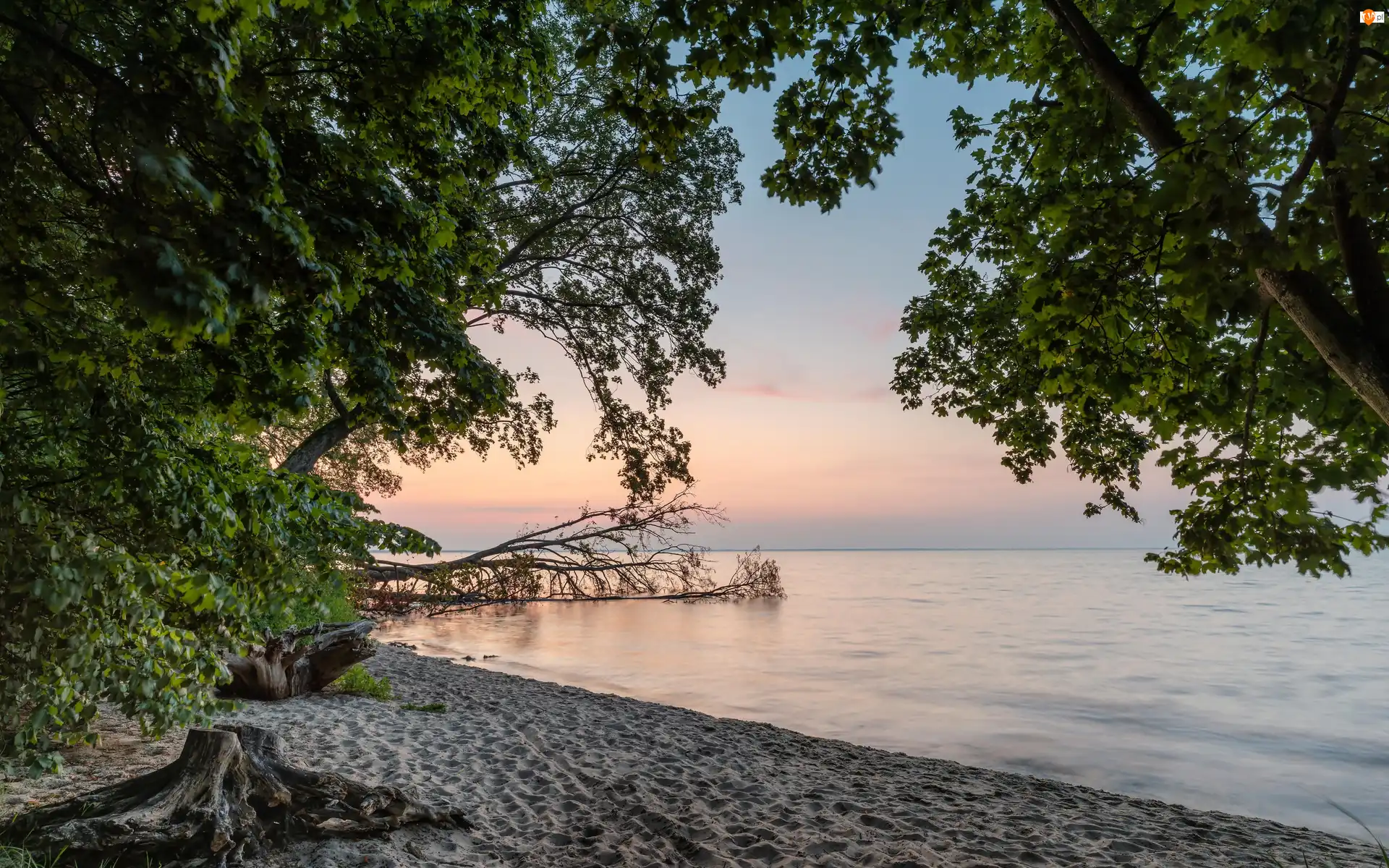 Piasek, Wschód słońca, Plaża, Morze, Drzewa
