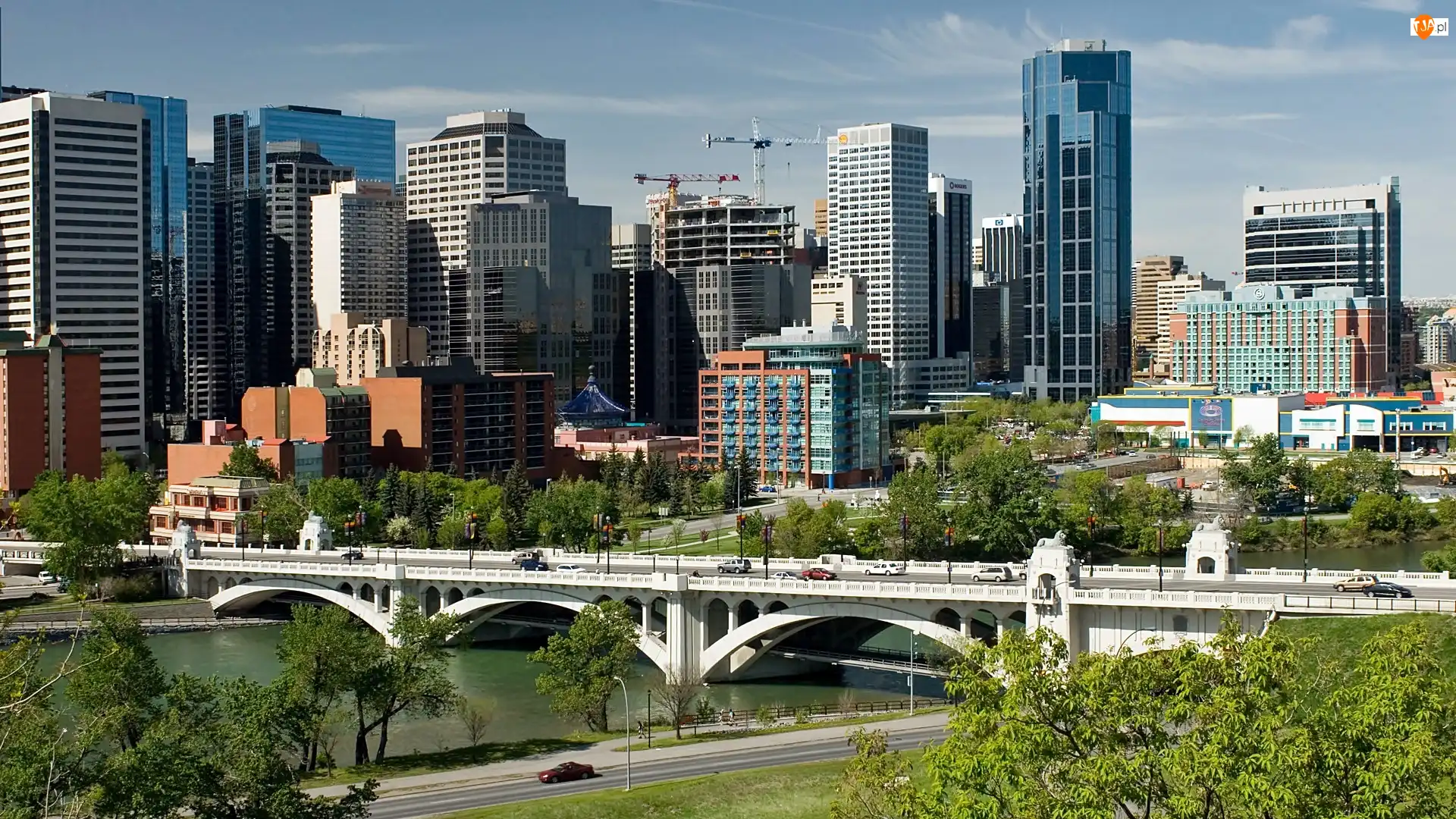 Calgary, Panorama, Bow, Roślinność, Rzeka, Most