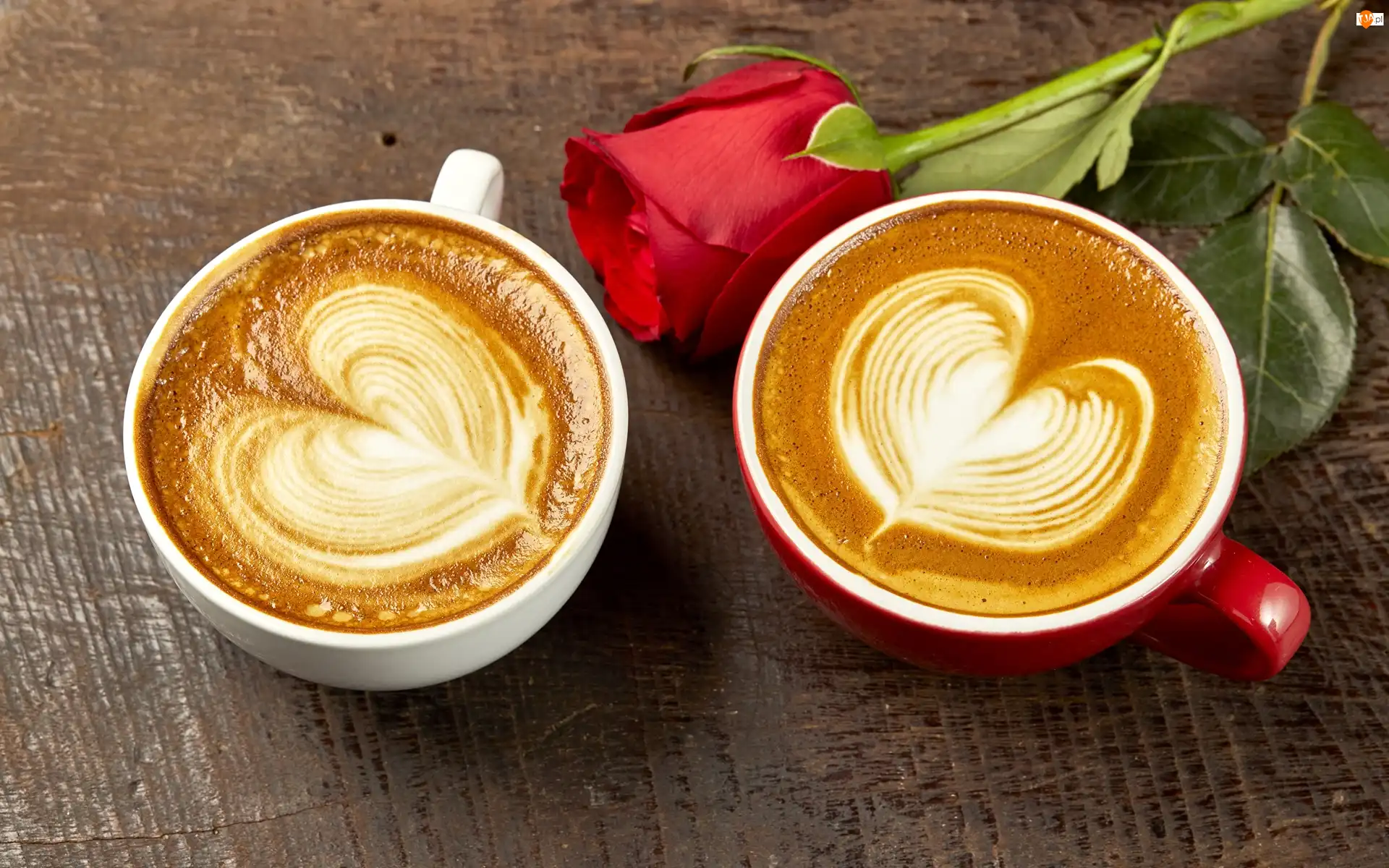 Filiżanki, Róża, Cappuccino, Kawa, Serca