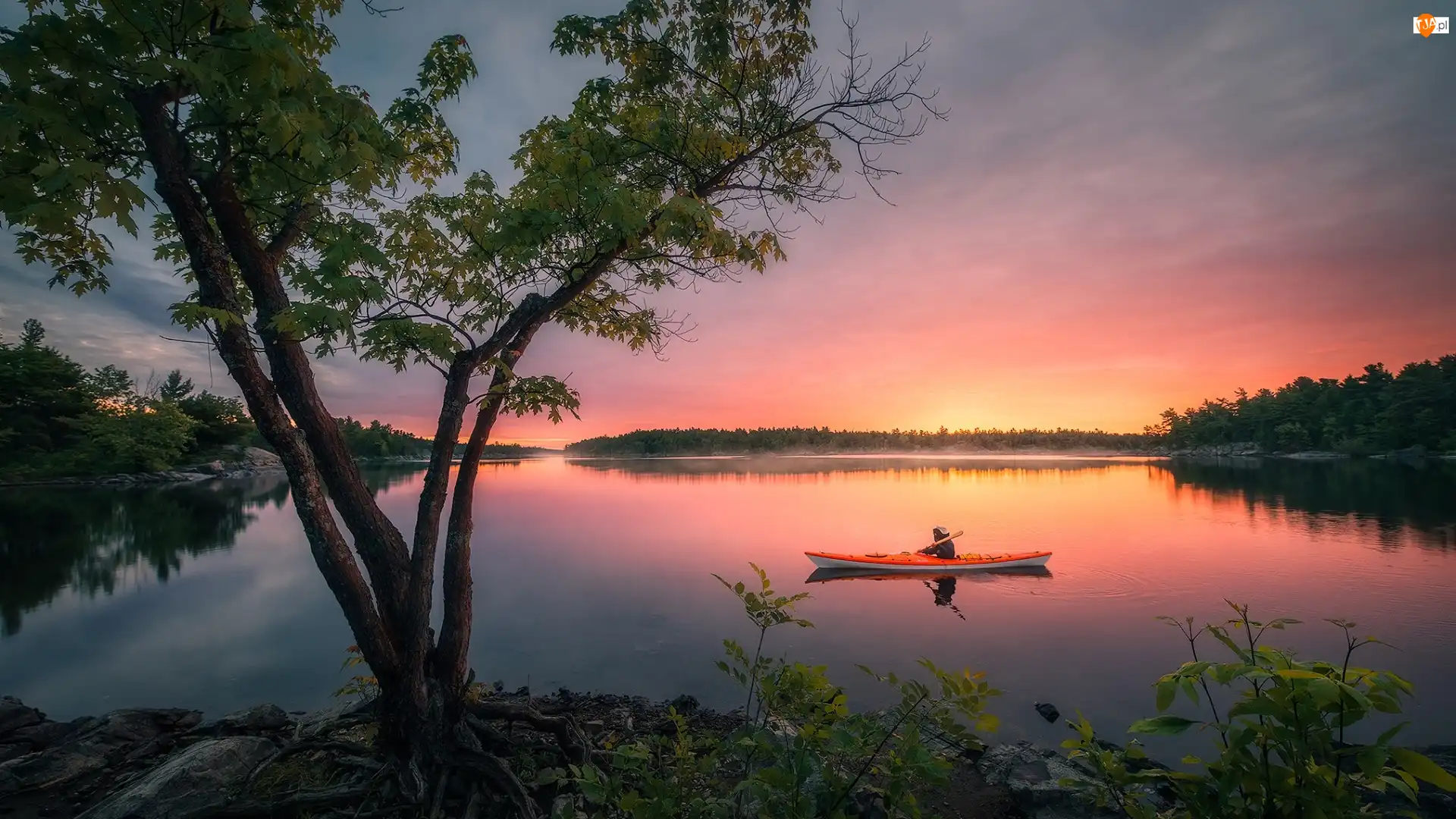 French River, Kajak, Kanada, Rzeka, Ontario, Wschód słońca, Drzewa