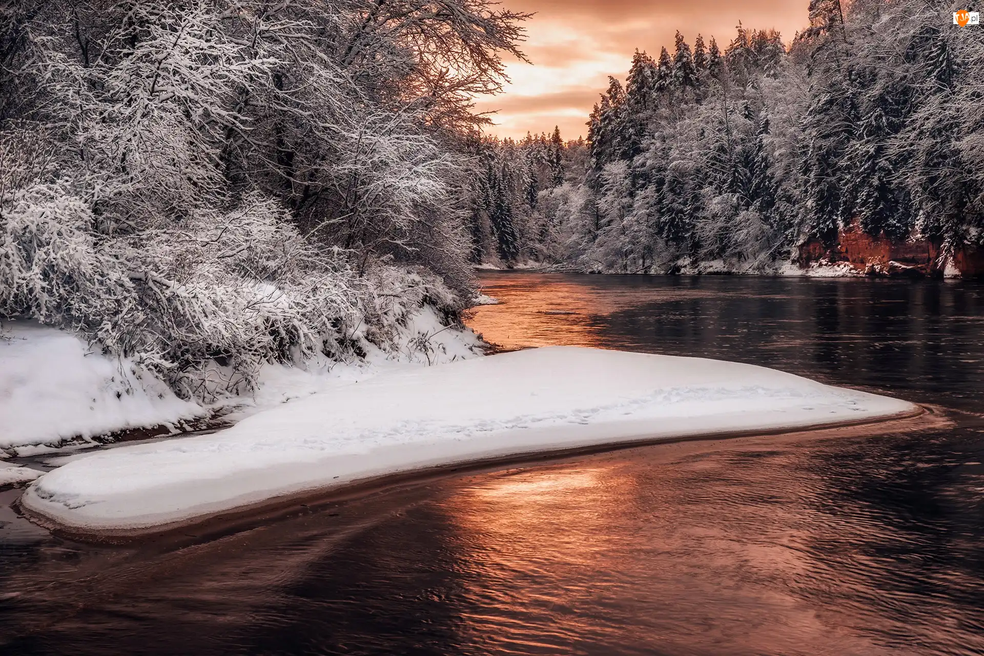 Śnieg, Las, Ośnieżone, Zima, Rzeka, Drzewa