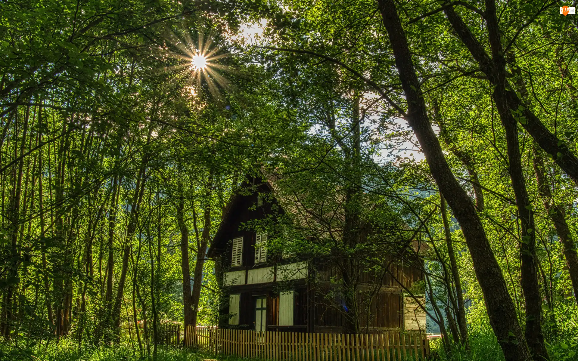 Promienie słońca, Dom, Płot, Drzewa