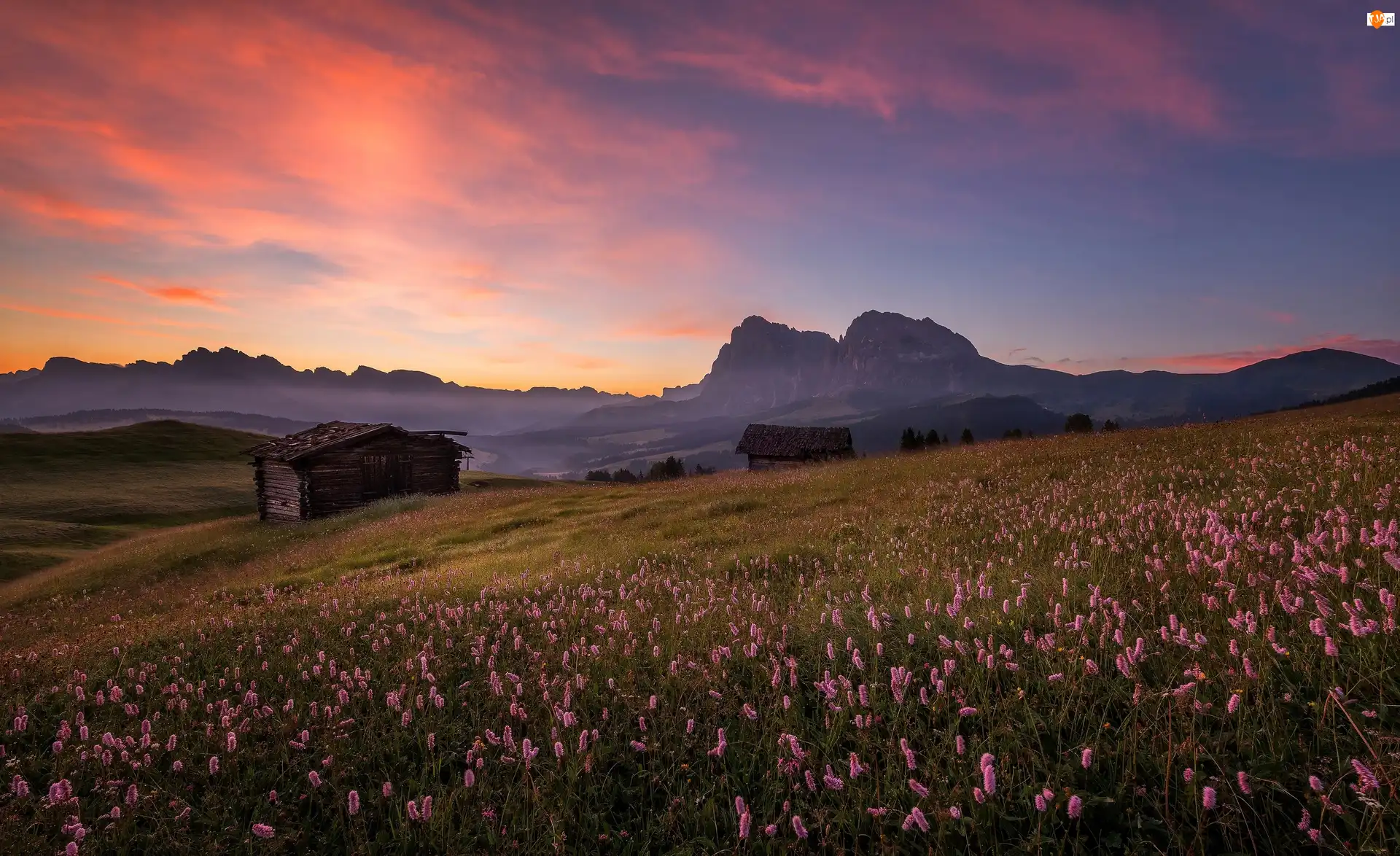 Drewniane, Płaskowyż Seiser Alm, Łąka, Chaty, Włochy, Kwiaty, Zachód słońca, Góry Dolomity
