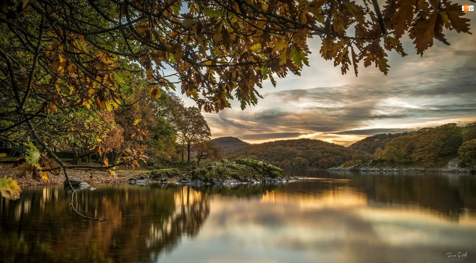 Drzewa, Jezioro Coniston Lake, Hrabstwo Kumbria, Anglia, Wzgórza