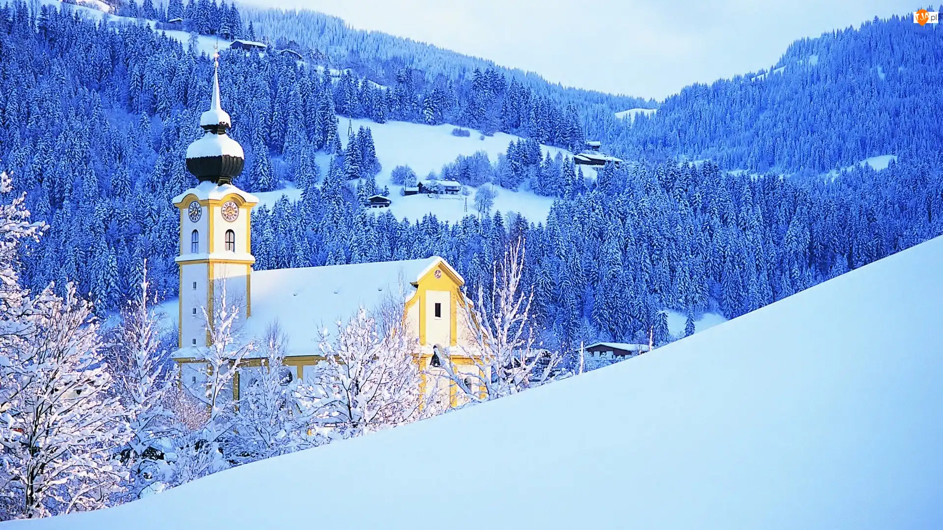 Śnieg, Kościół, Las