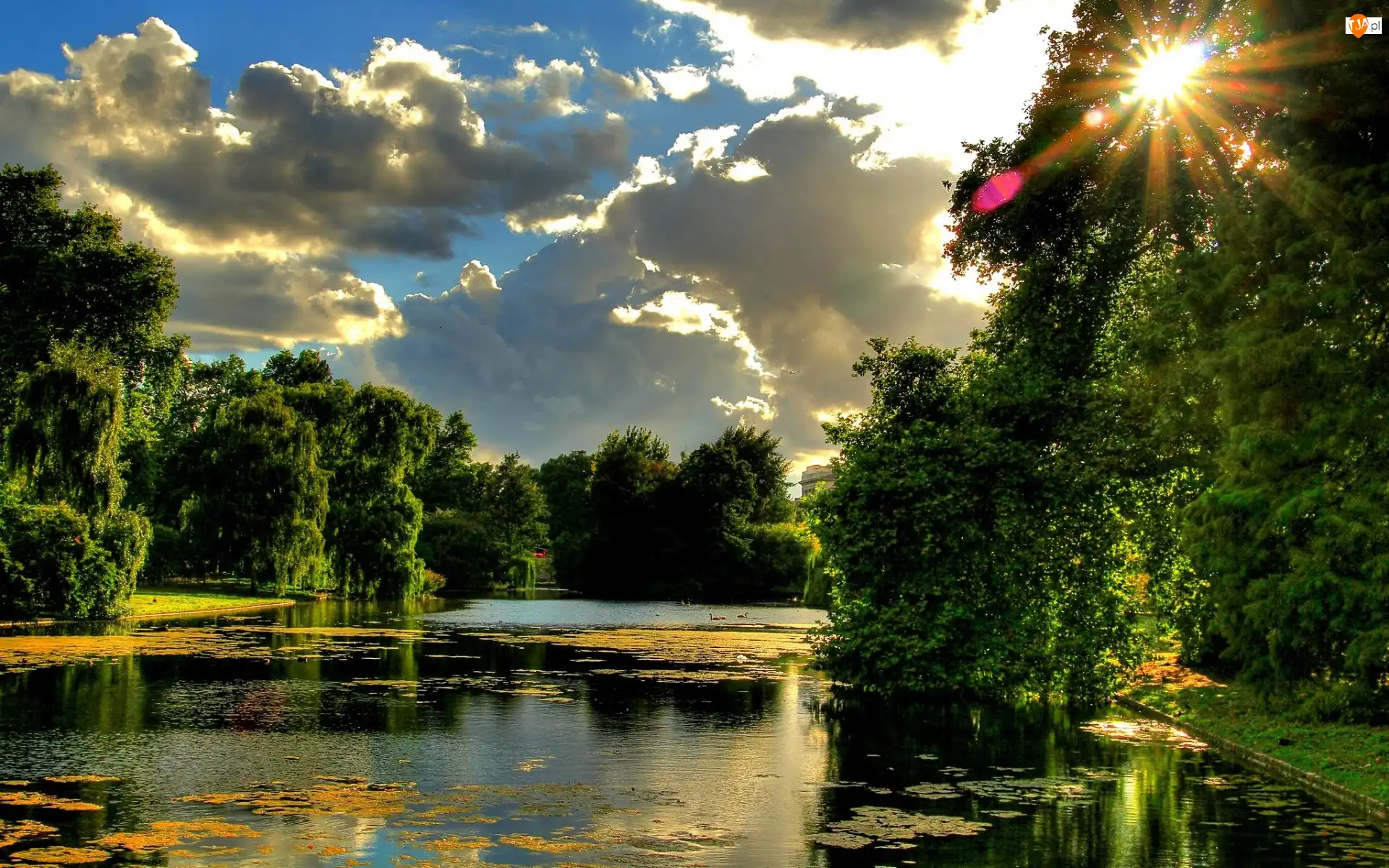 Park, Rzeka, Promienie, Chmury, Drzewa, Słońca