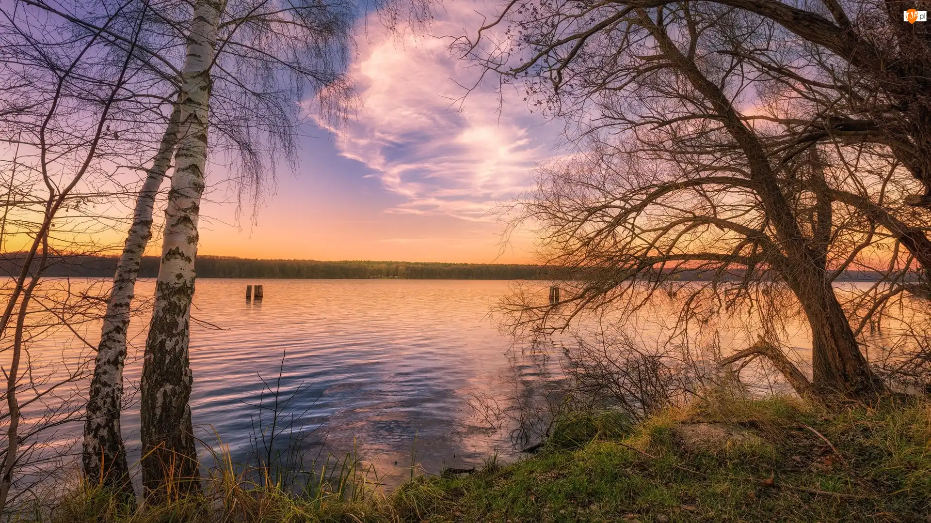 Jezioro, Wschód słońca, Brzozy, Drzewa, Chmury