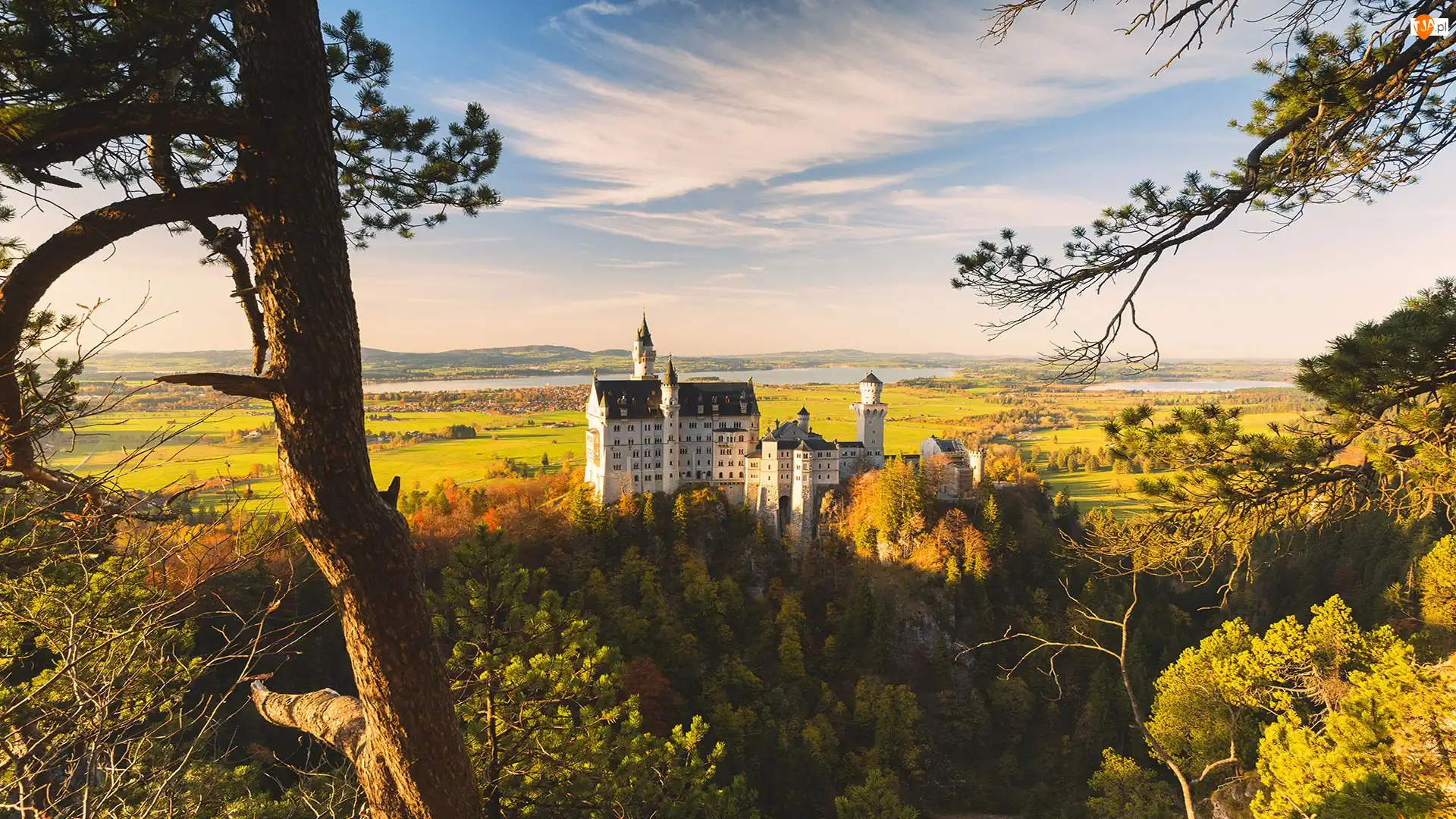 Wzgórze, Zamek Neuschwanstein, Niemcy, Jesień, Bawaria, Pola, Drzewa