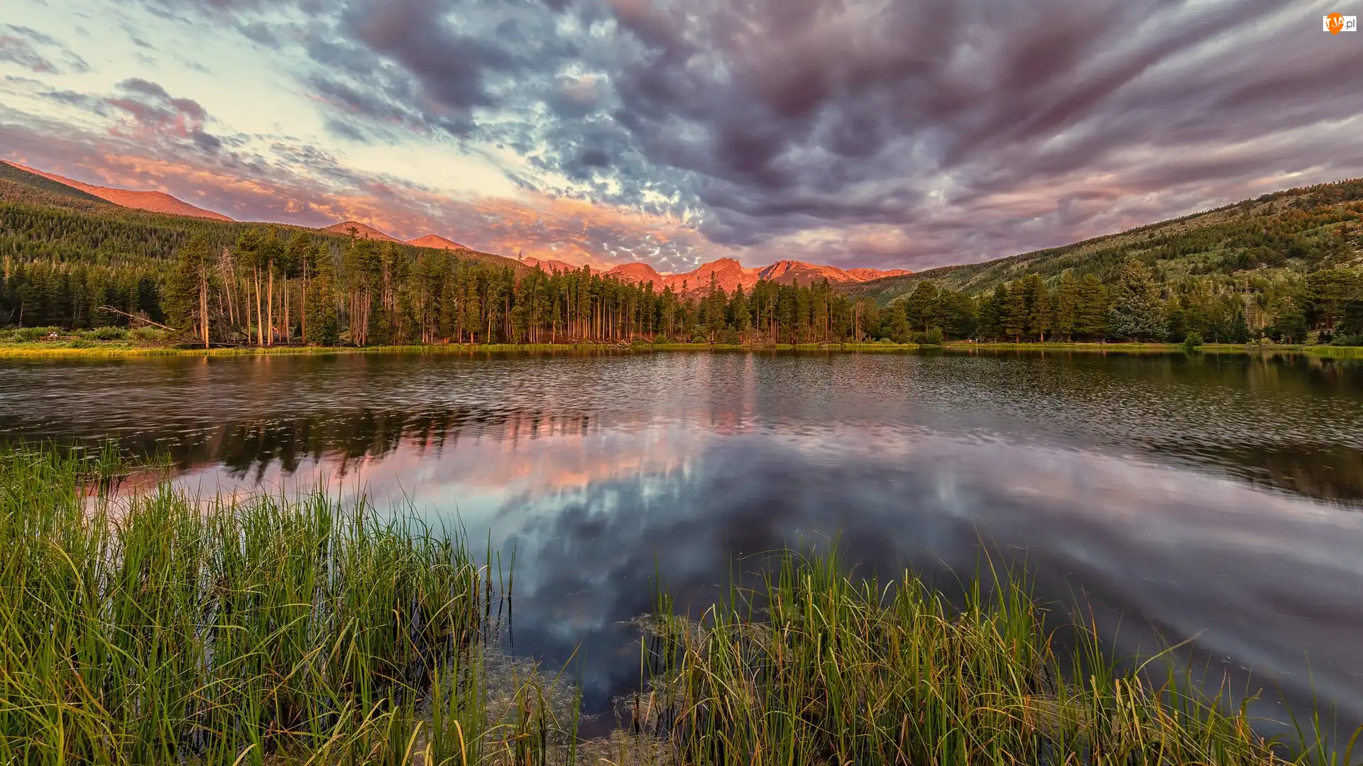 Wschód słońca, Kolorado, Chmury, Drzewa, Niebo, Park Narodowy Gór Skalistych, Jezioro, Stany Zjednoczone, Spraque Lake