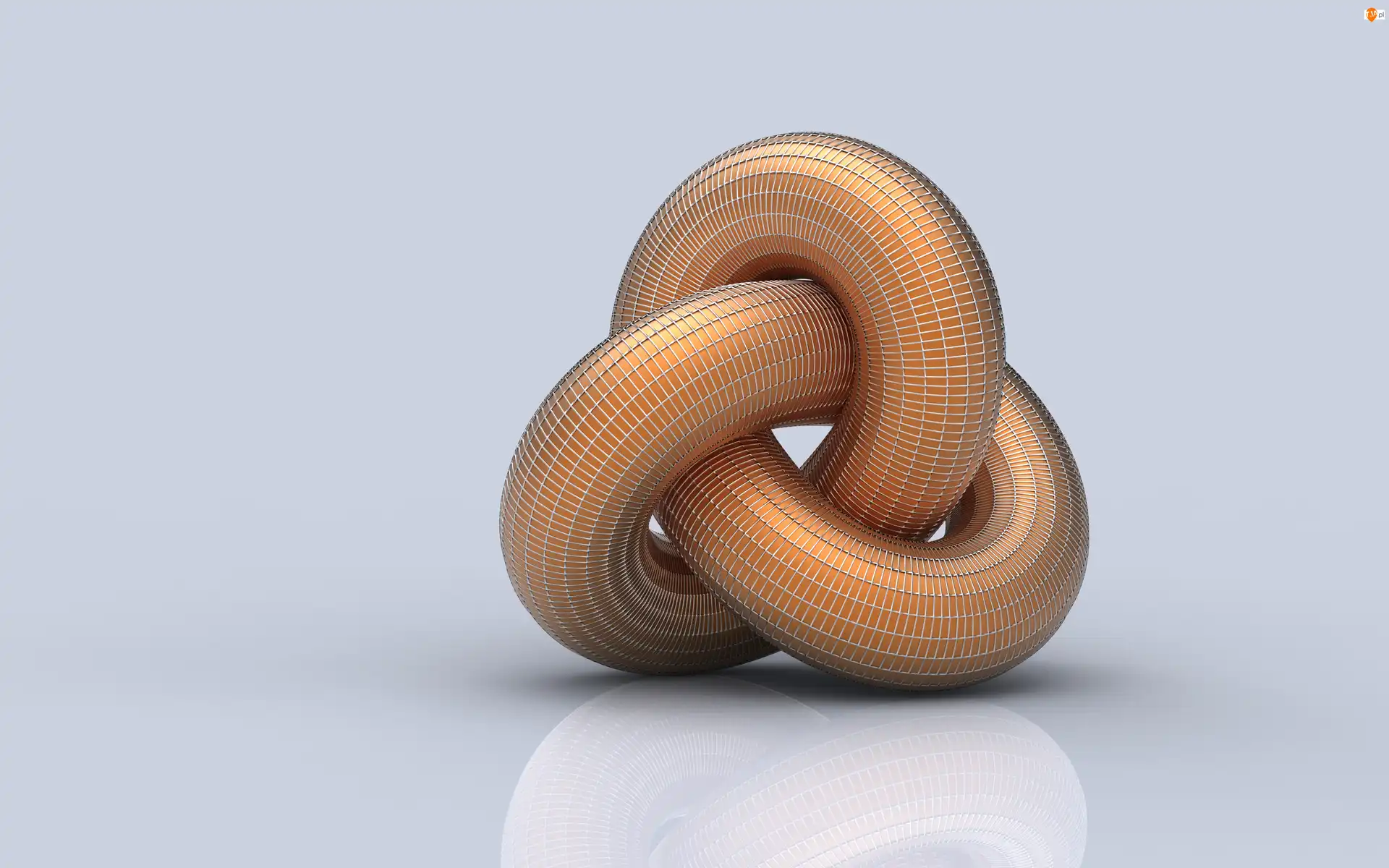 Splot, Grafika 3D, Wektorowa
