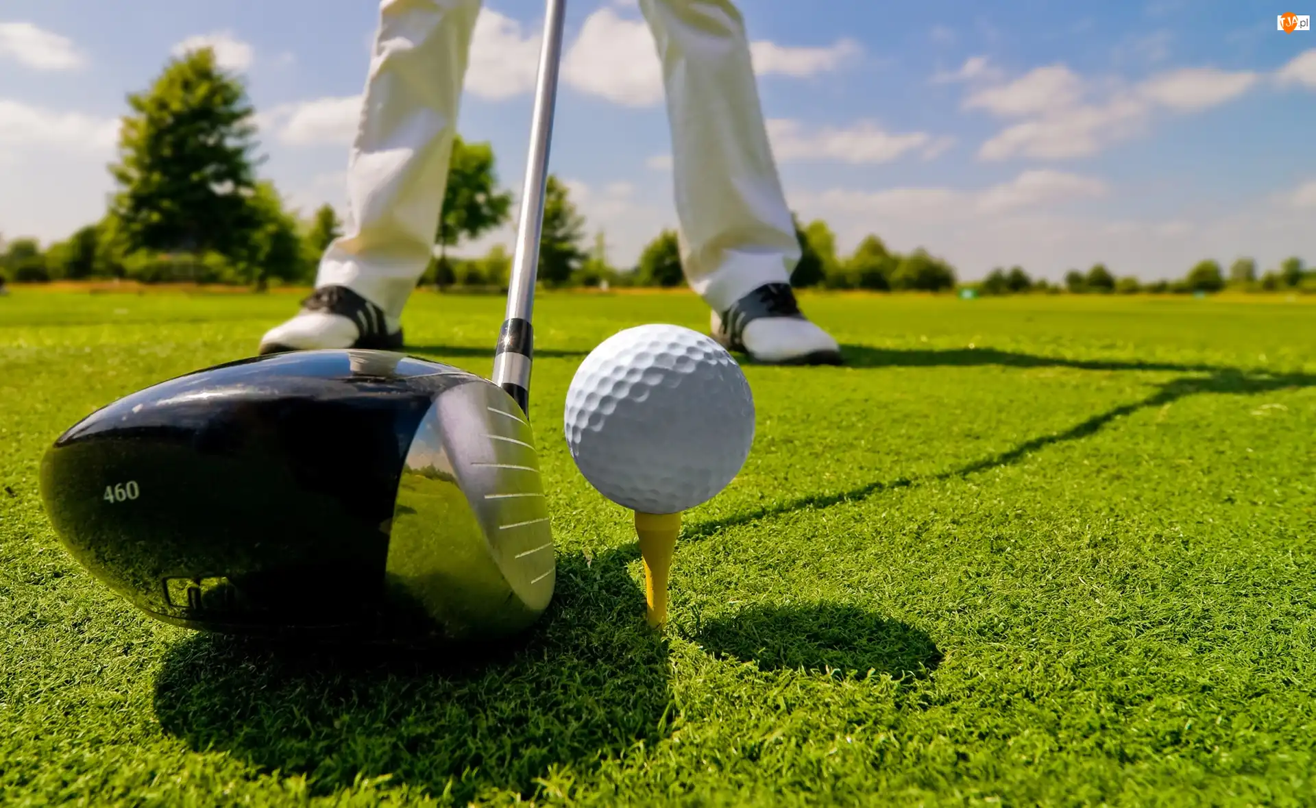 Gracz, Murawa, Golf, Sport, Piłka