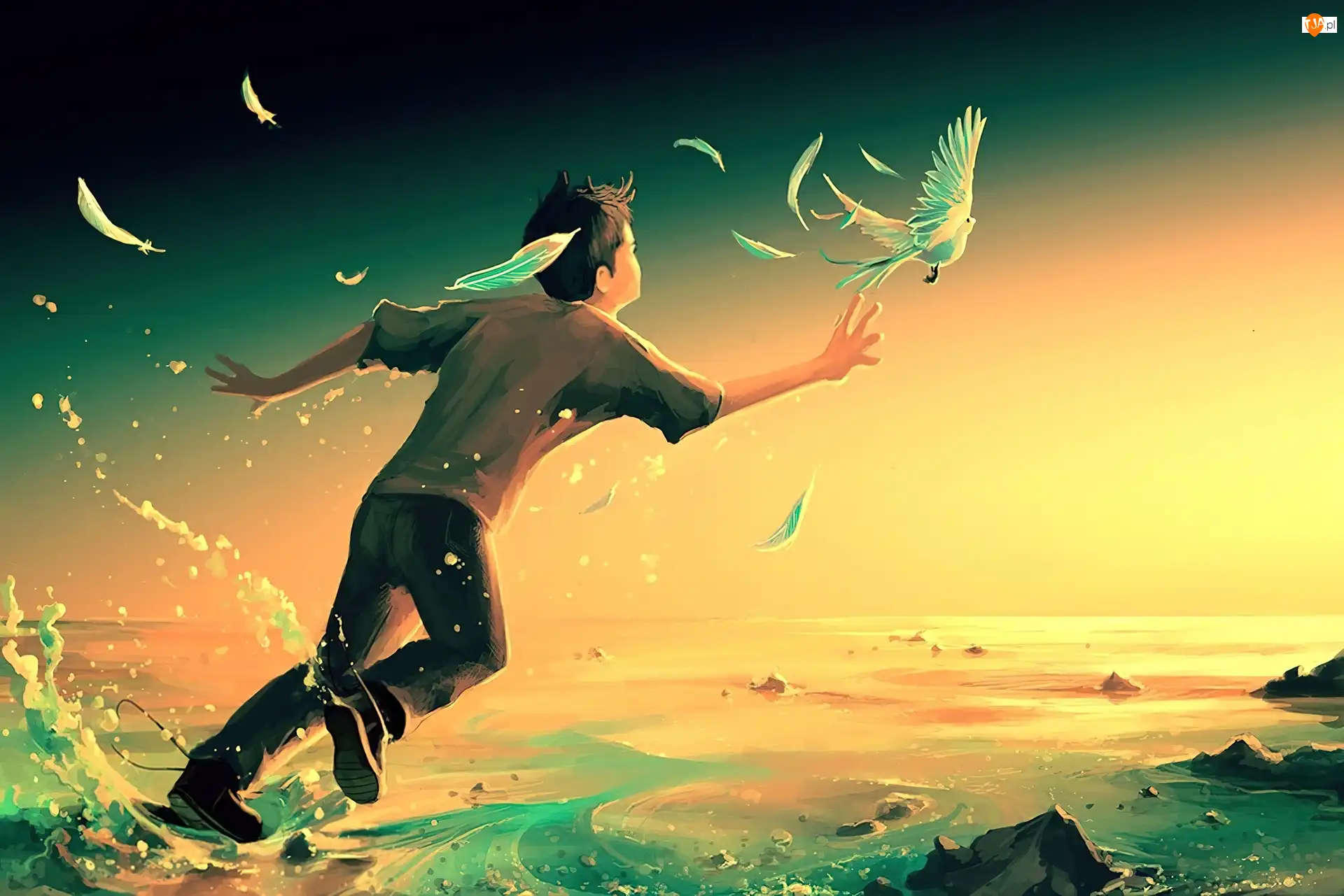 Gołąb, Cyril Rolando, Chłopiec