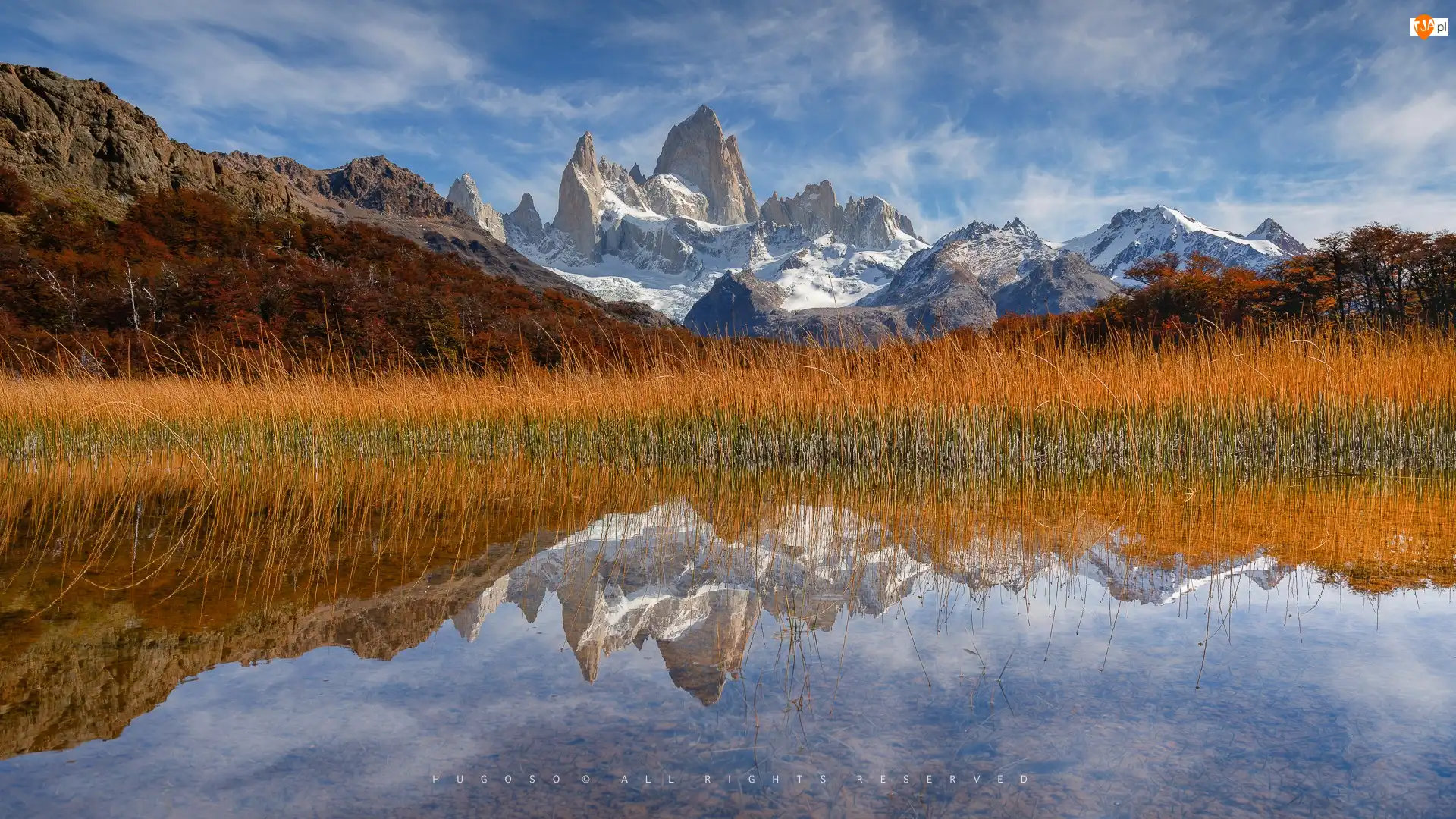 Jesień, Patagonia, Szuwary, Jezioro, Drzewa, Park Narodowy Los Glaciares, Góra, Argentyna, Fitz Roy