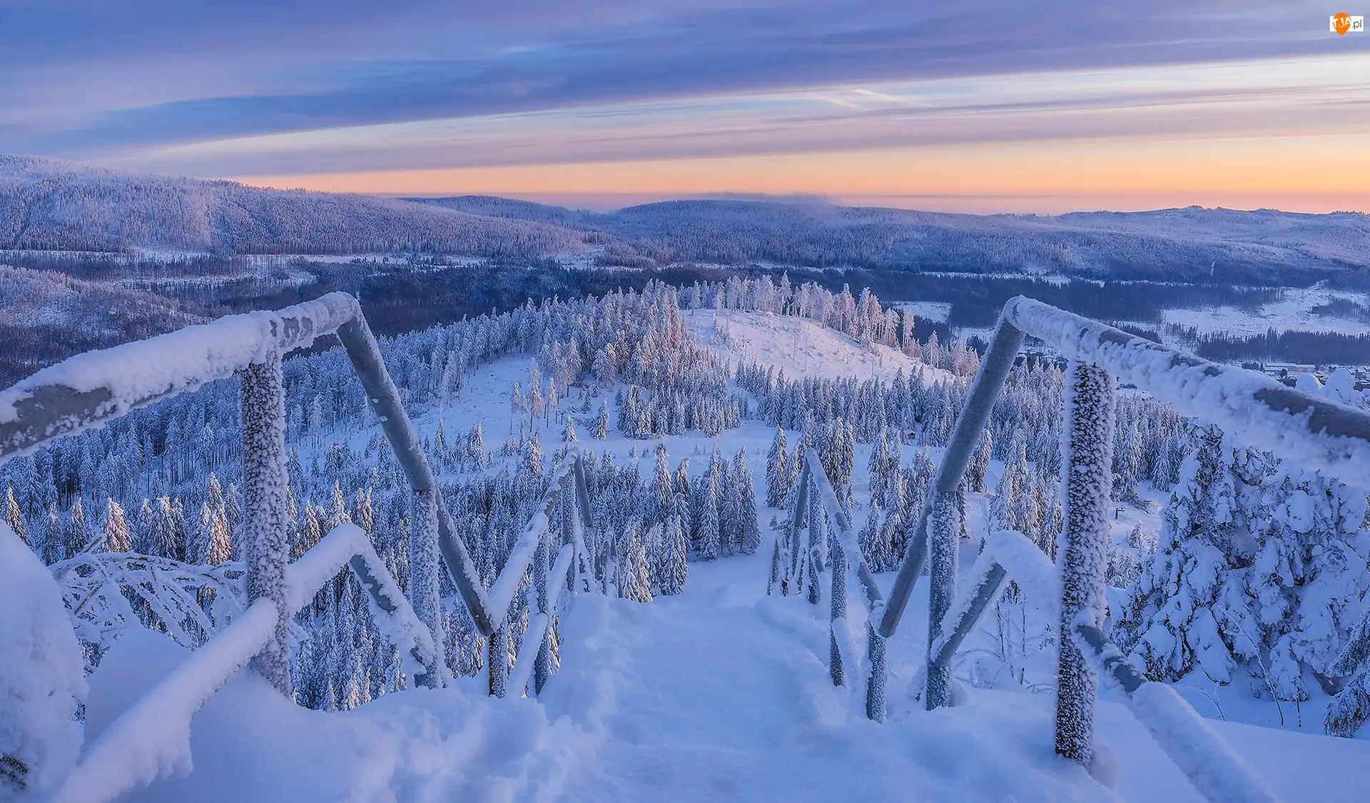 Śnieg, Zima, Drzewa, Poręcze, Lasy, Ośnieżone