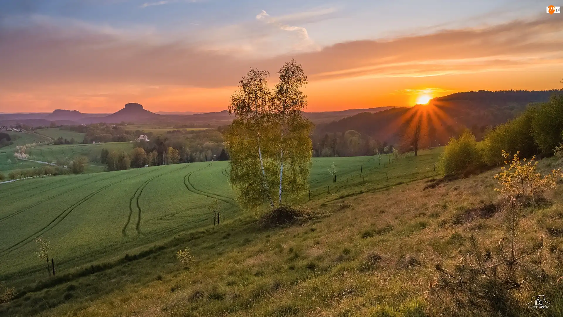 Góra Lilienstein, Łąka, Niemcy, Zachód słońca, Saksonia, Drzewa, Pola