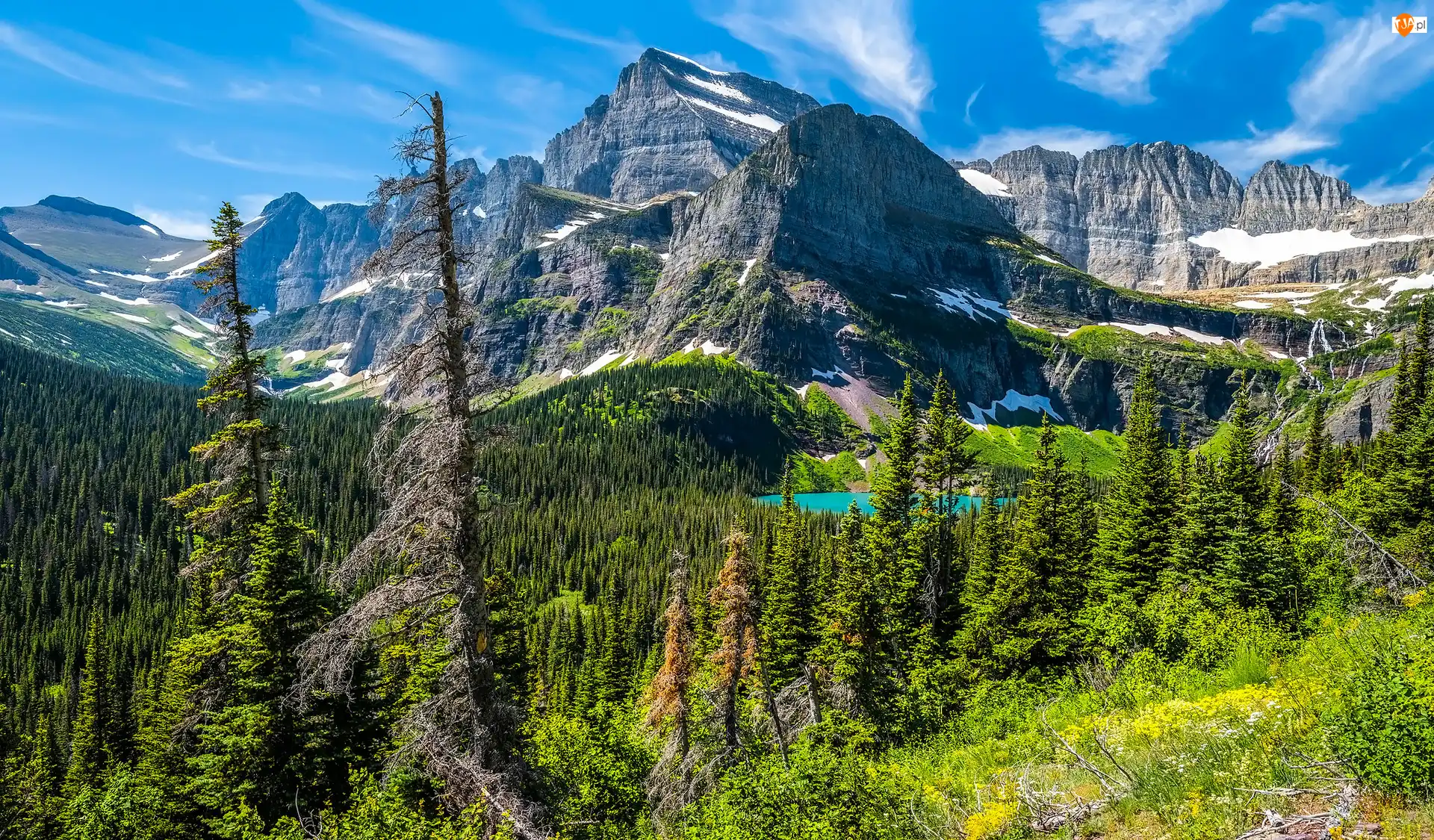 Montana, Stany Zjednoczone, Rośliny, Park Narodowy Glacier, Jezioro, Góry, Drzewa