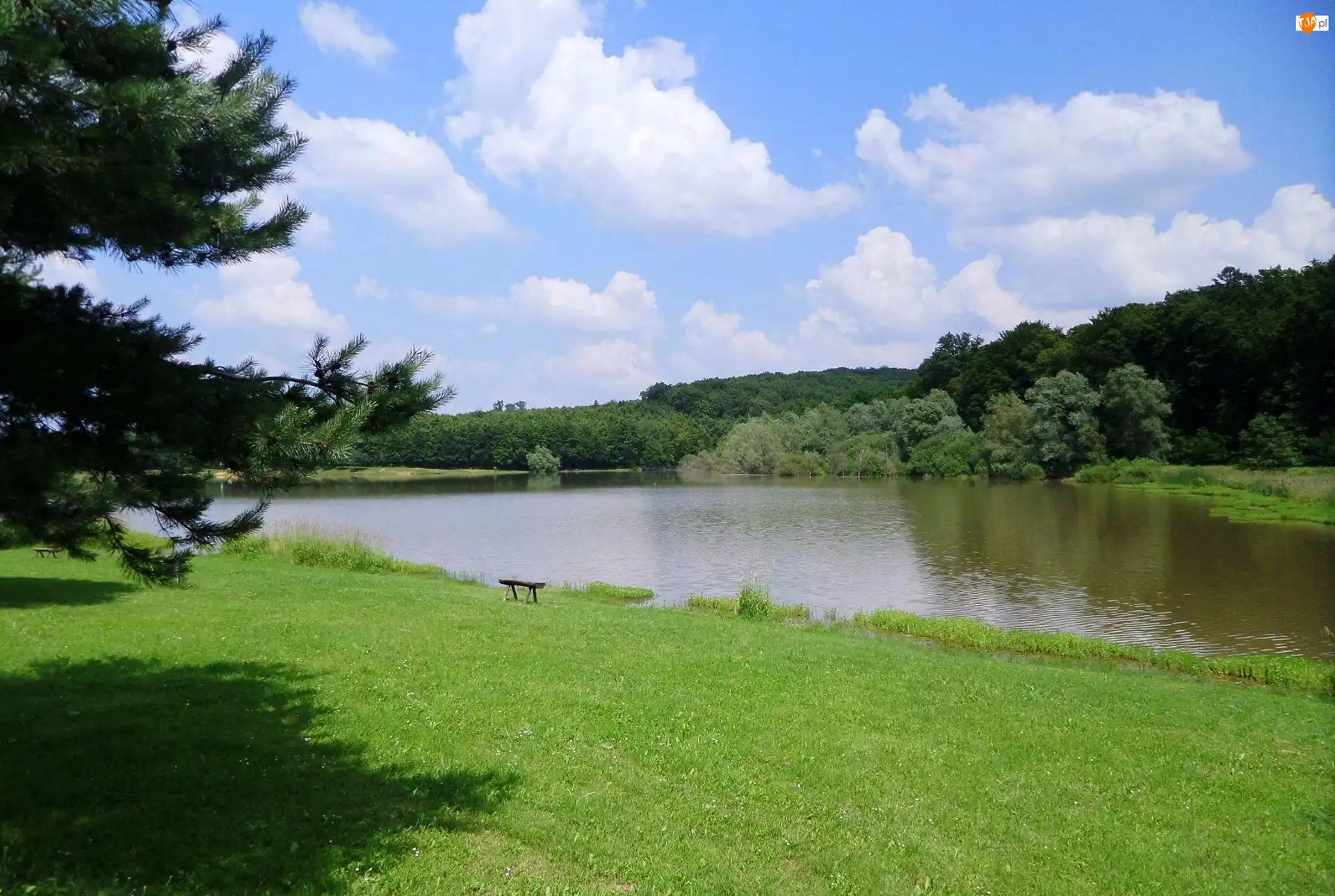 Ławka, Jezioro, Zieleń