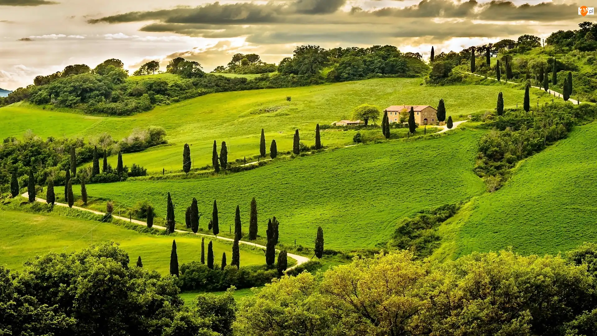 Wzgórza, Umbria, Pola, Drzewa, Dom, Droga