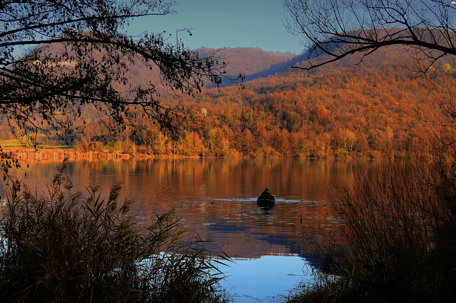 Krzewy, Jezioro, Jesień, Ponton