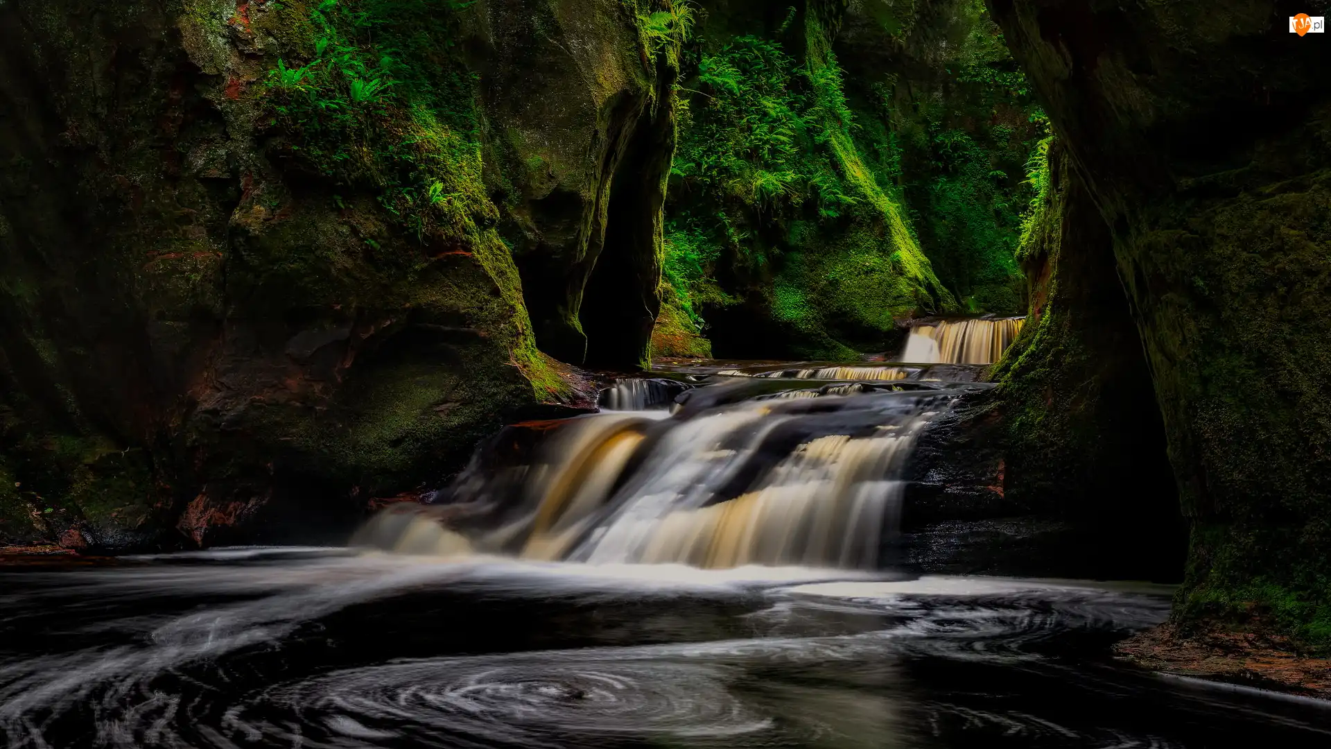 Finnich Glen, Rzeka Carnock Burn, Wąwóz, Szkocja, Skały
