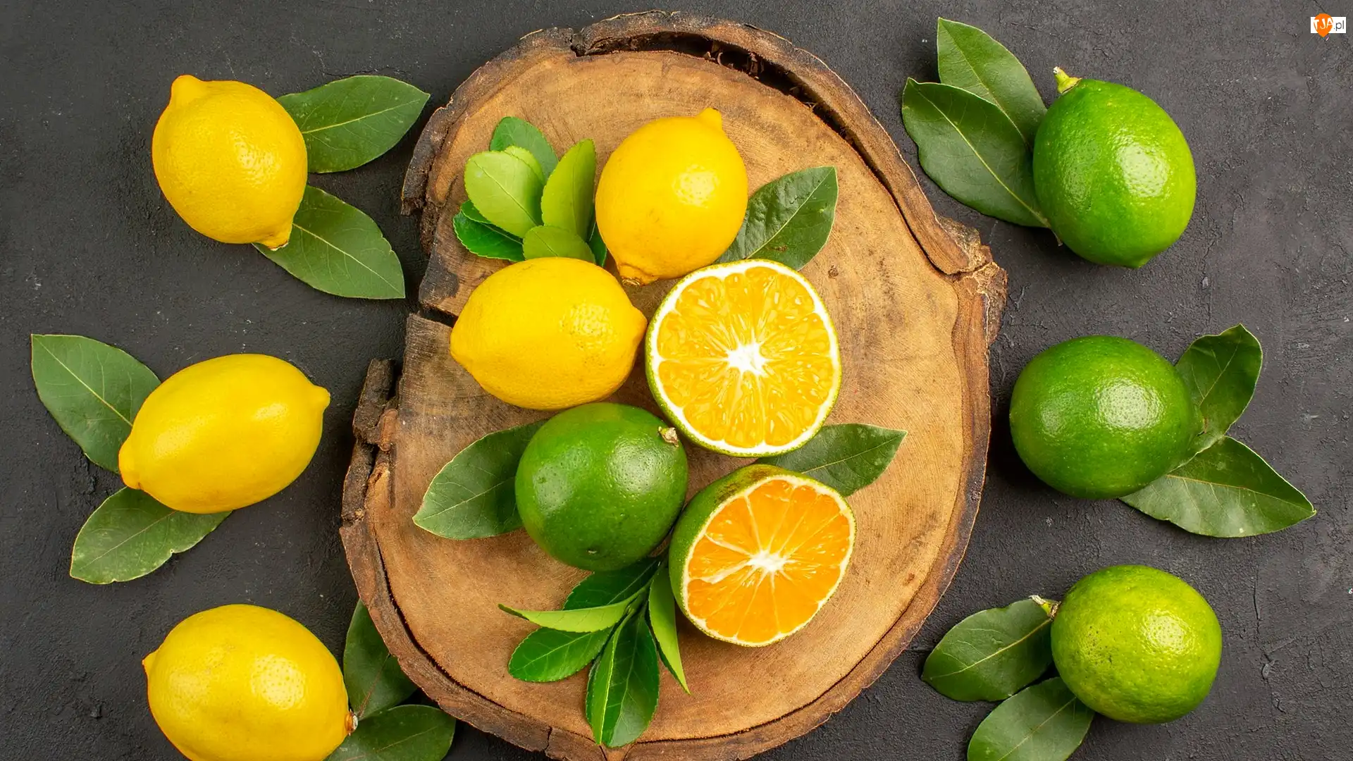 Drewno, Cytryny, Limonki, Liście