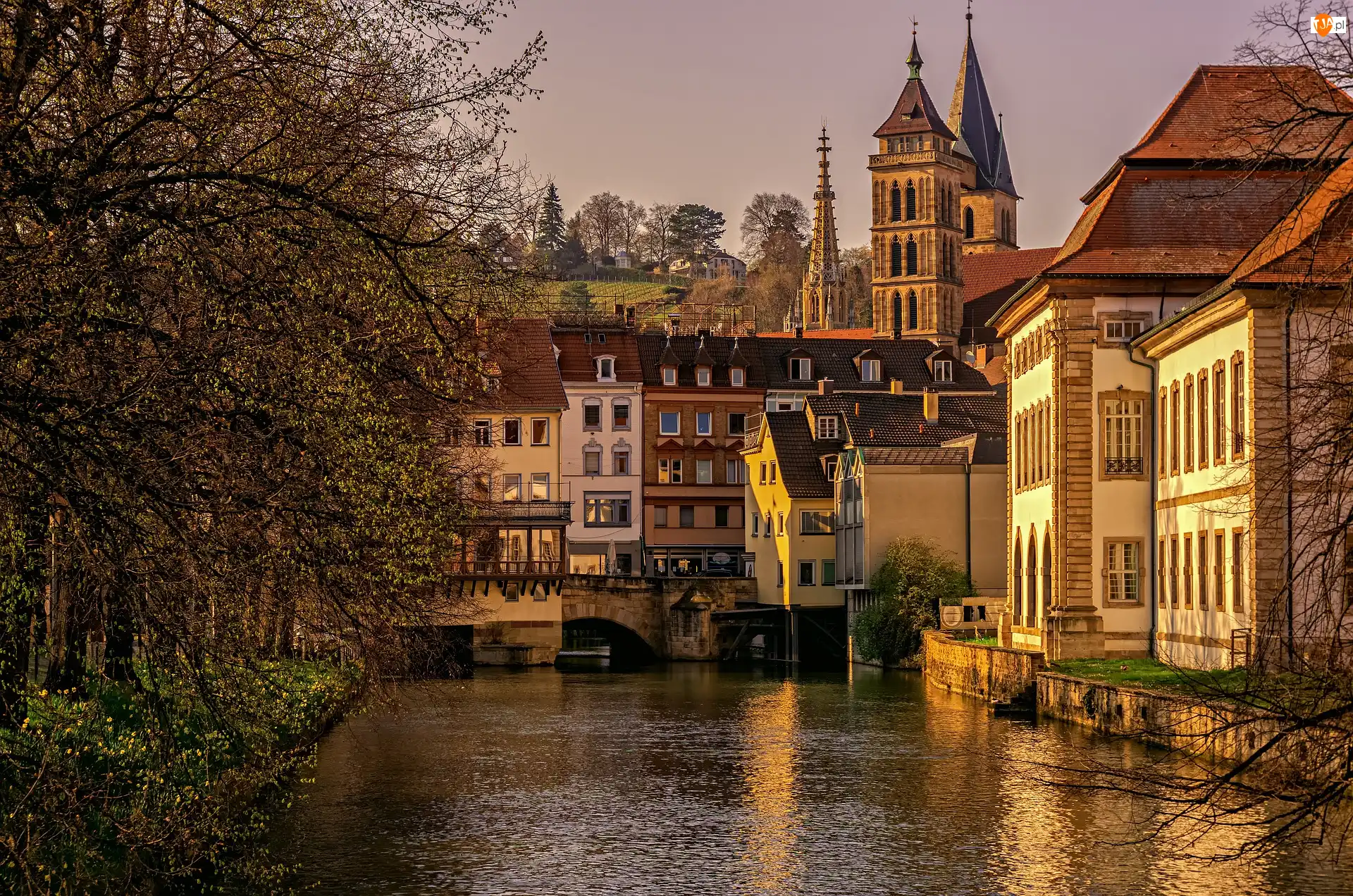 Domy, Rzeka Neckar, Drzewa, Niemcy, Kościół, Esslingen