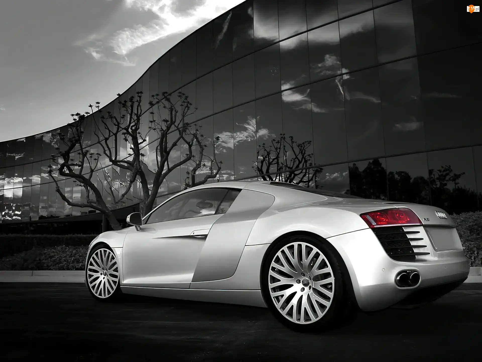 Audi R8, Lewy, Tył