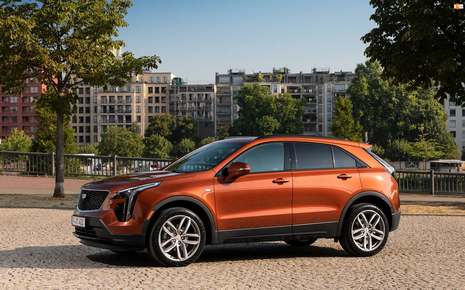 Bok, Cadillac XT4 350D