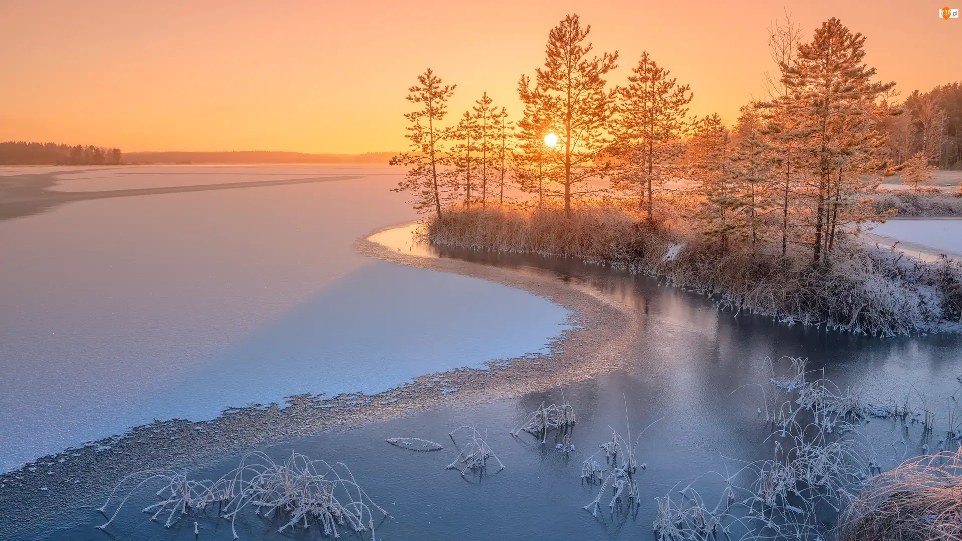 Karelia, Jezioro, Wschód słońca, Rosja, Zima, Drzewa, Ładoga