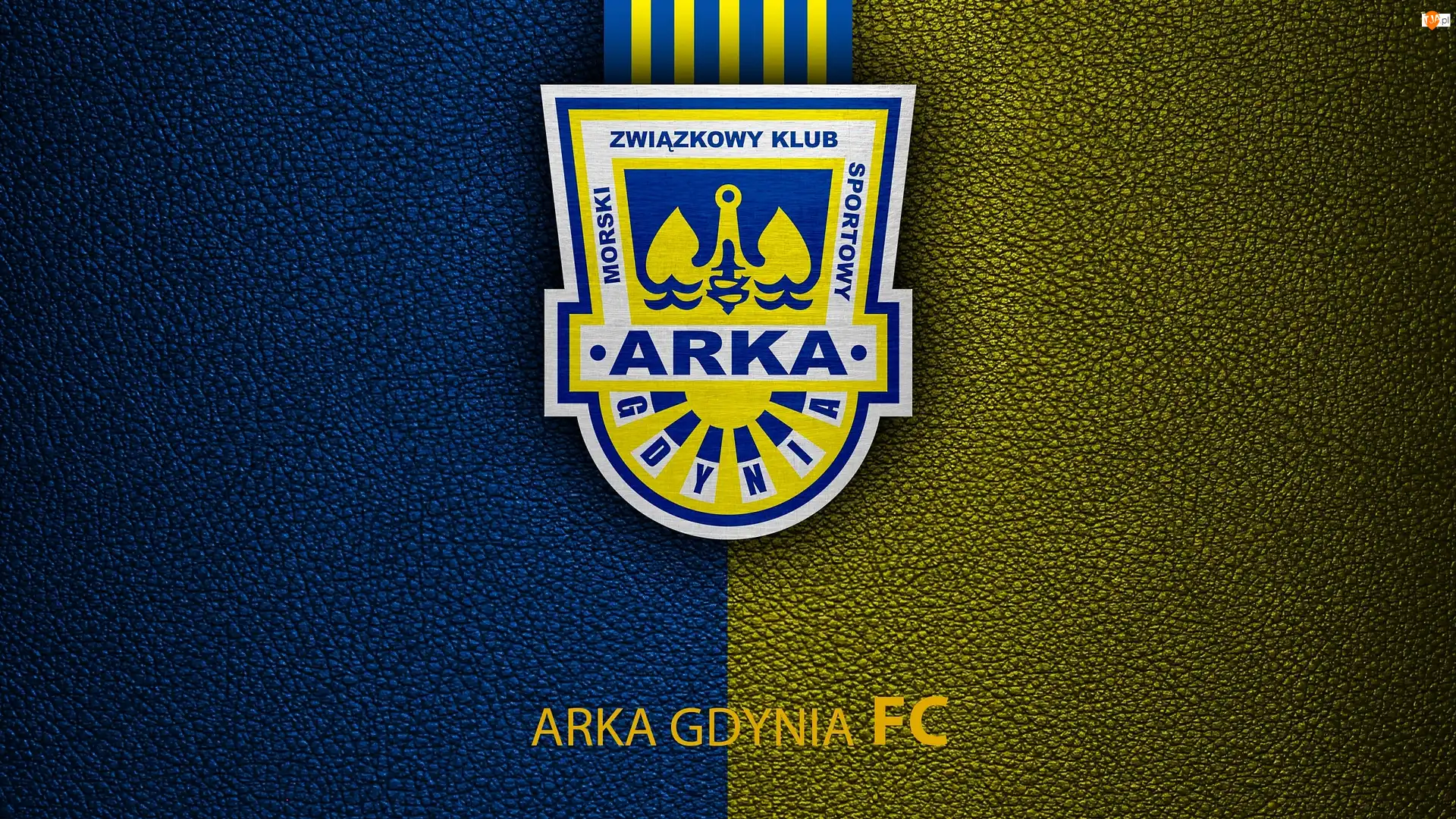 Piłka nożna, Logo, Arka Gdynia