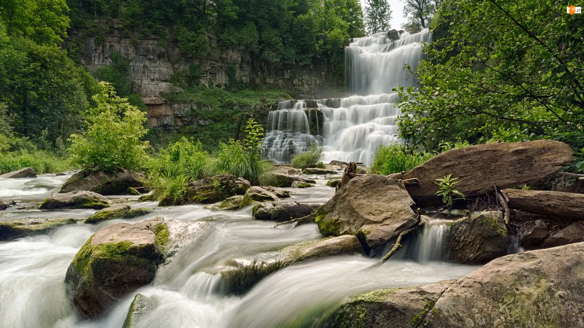 Wodospad, Chittenango Falls, Stany Zjednoczone, Skały, Nowy Jork, Drzewa, Rzeka