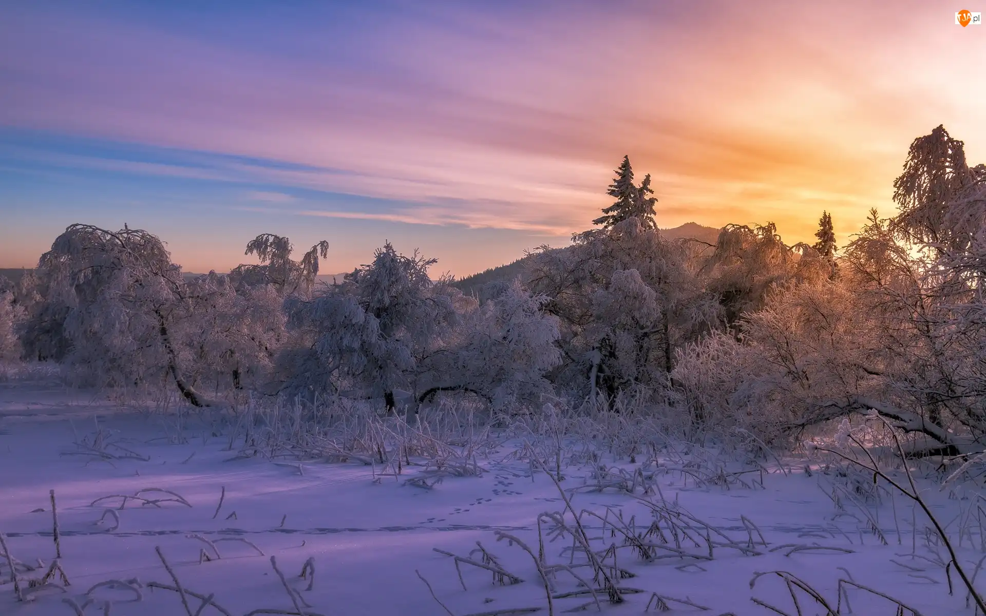 Ośnieżone, Zachód słońca, Góry, Zima, Drzewa