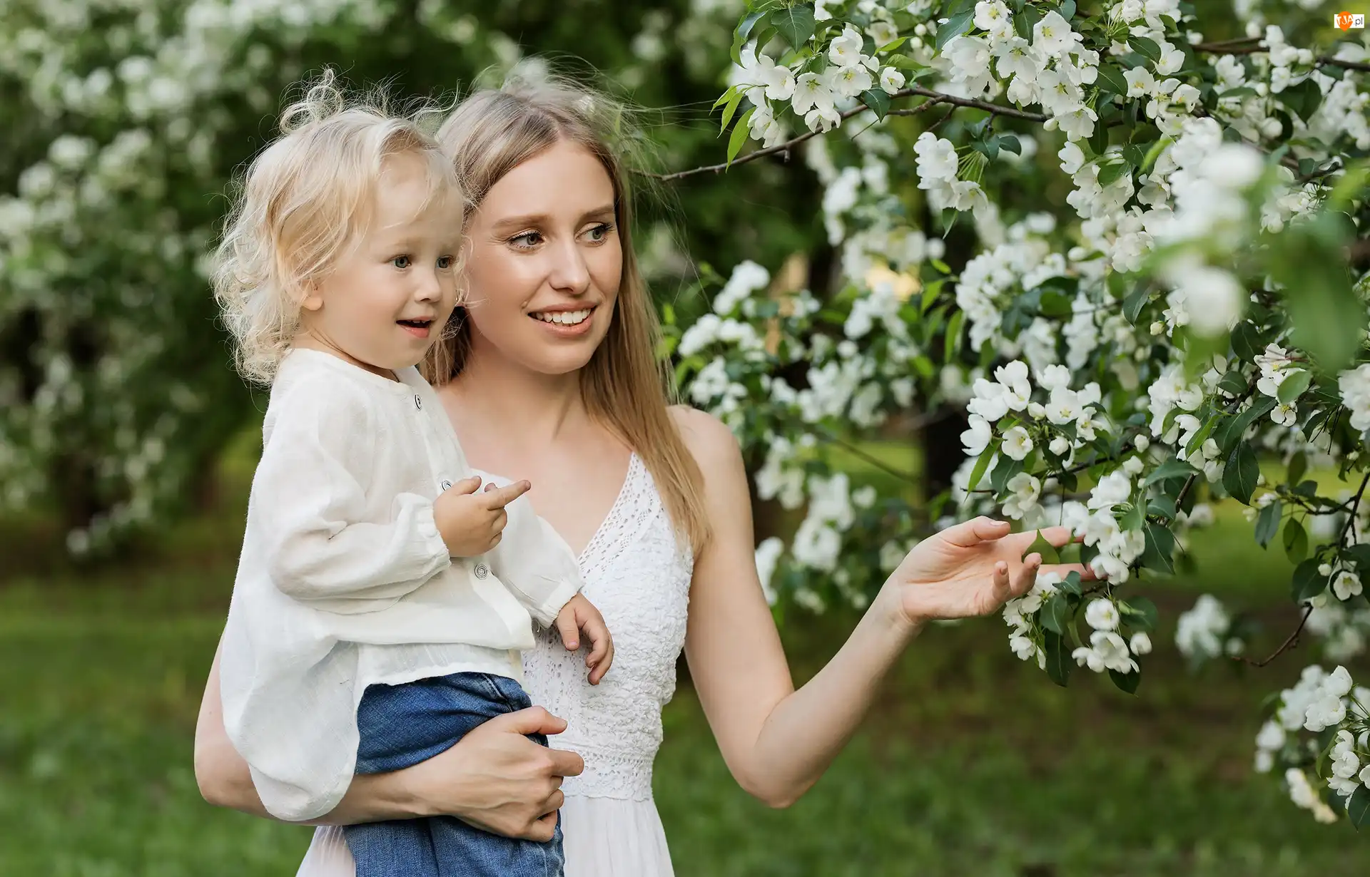 Dziecko, Drzewo owocowe, Mama, Kobieta, Gałązki
