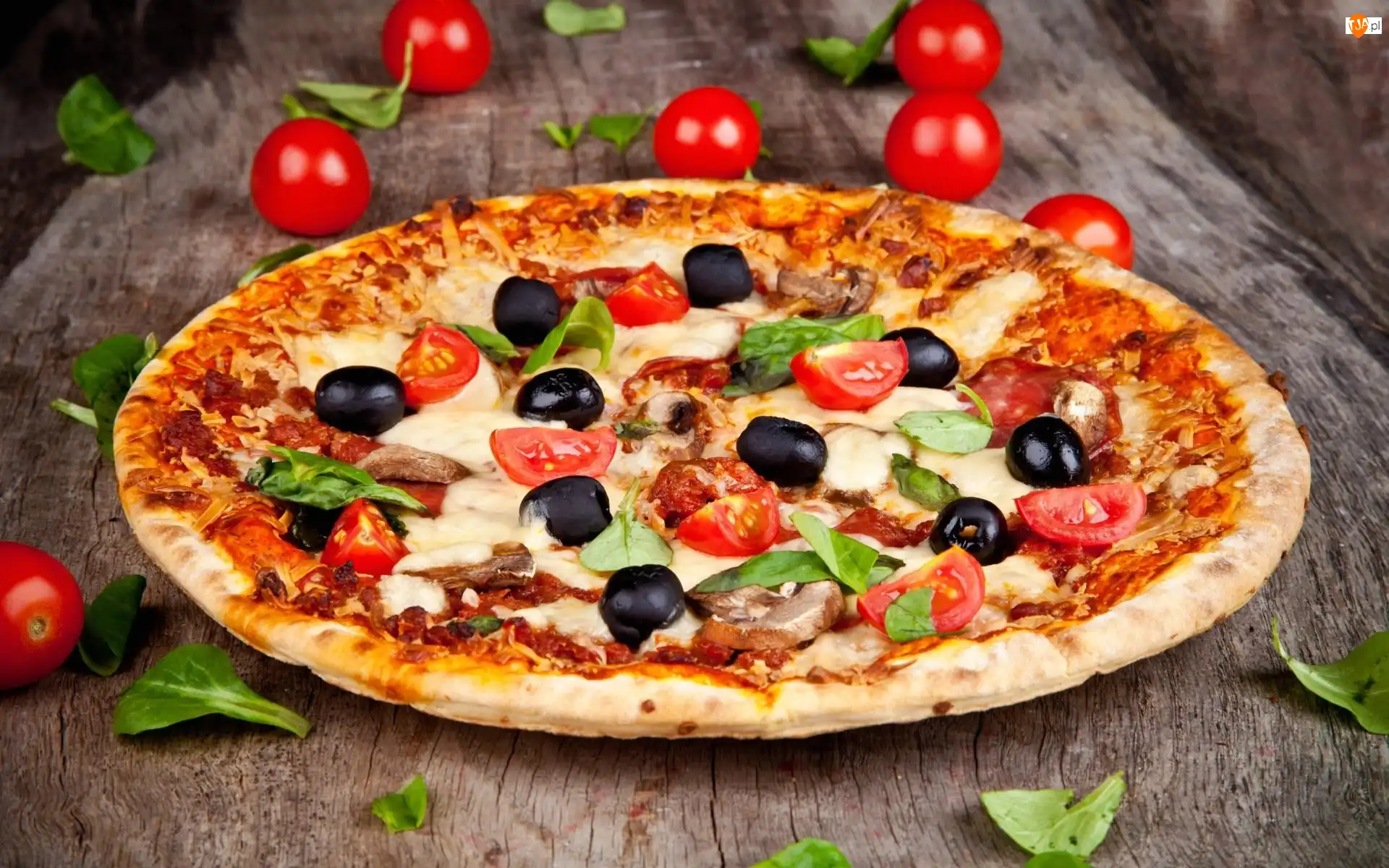 Pizza, Stół, Pomidorki, Oregano, Oliwki, Listki