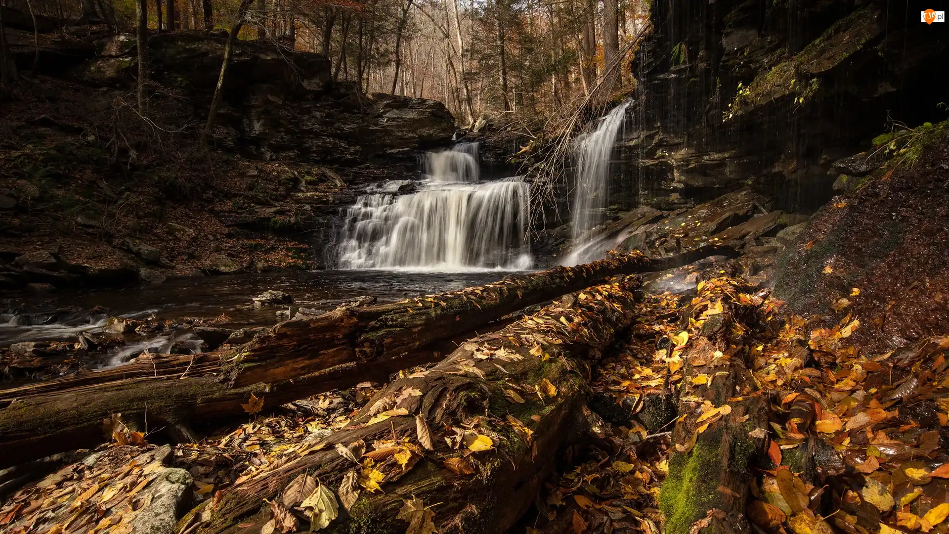 Stany Zjednoczone, Las, Stan Pensylwania, Żółte, Liście, Skały, Wodospad, Jesień, R B Ricketts Falls