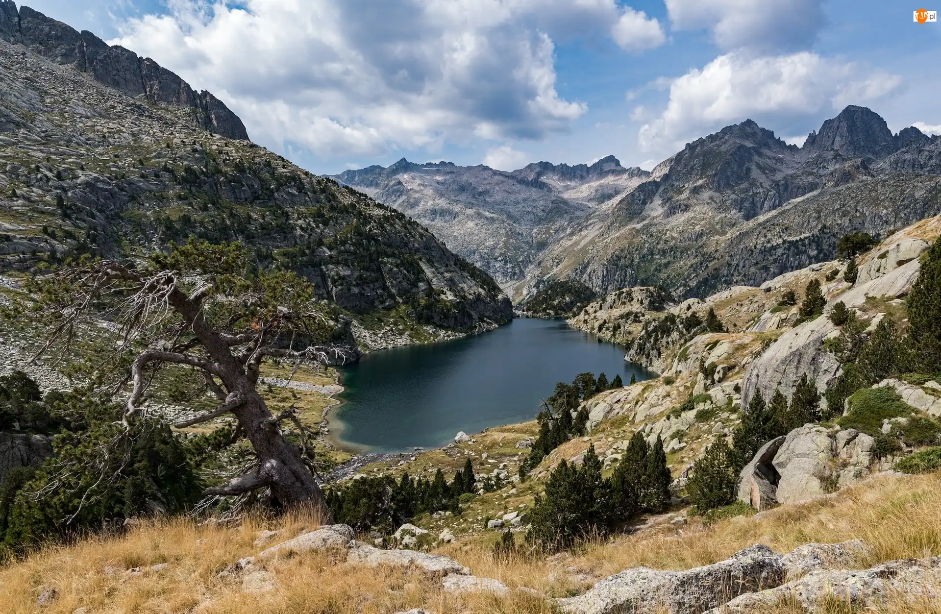 Drzewa, Góry, Jezioro