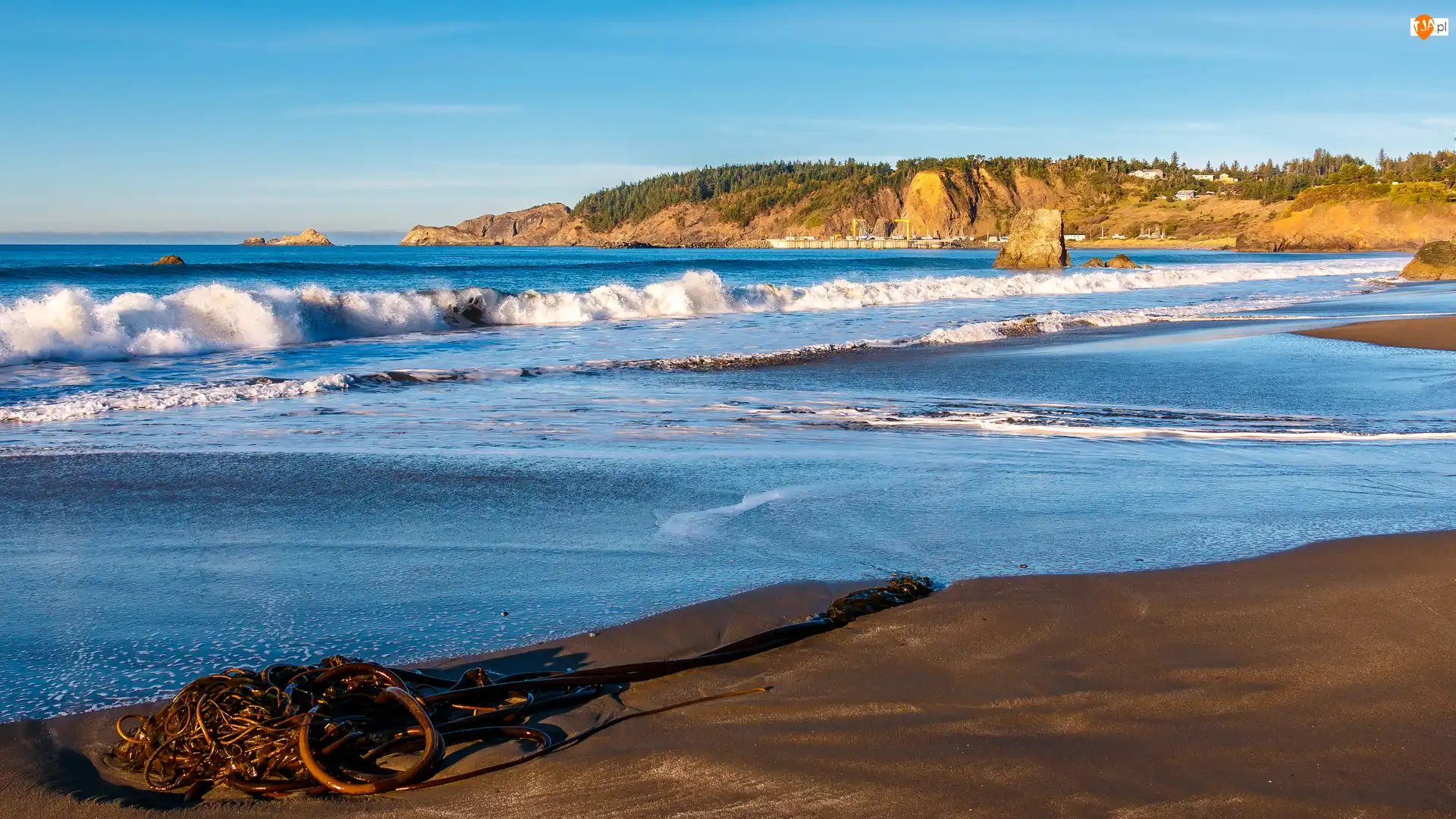 Fale, Morze, Port Orford, Stany Zjednoczone, Skały, Stan Oregon