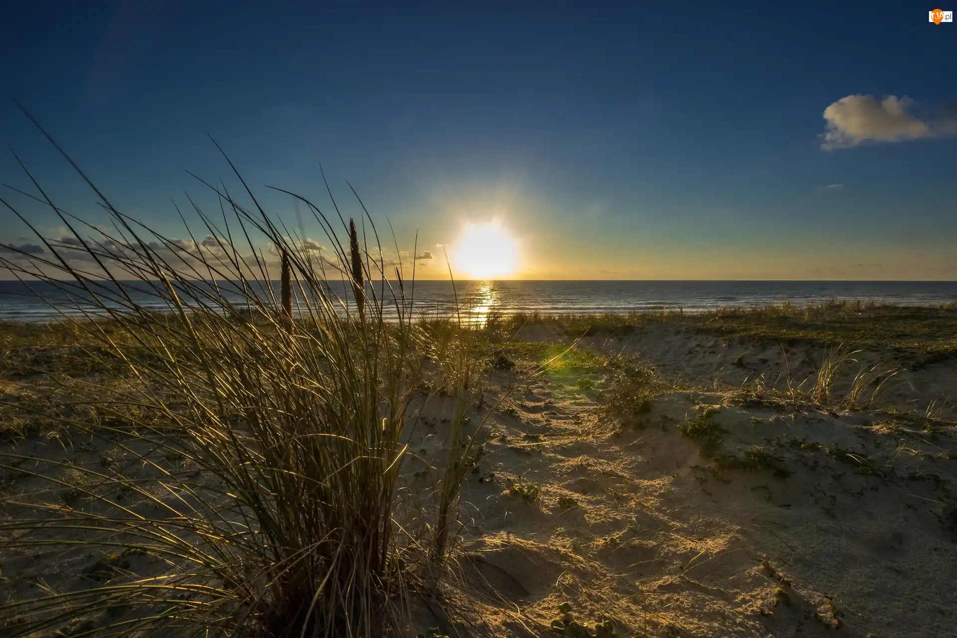 Morze, Plaża, Trawy, Wschód słońca
