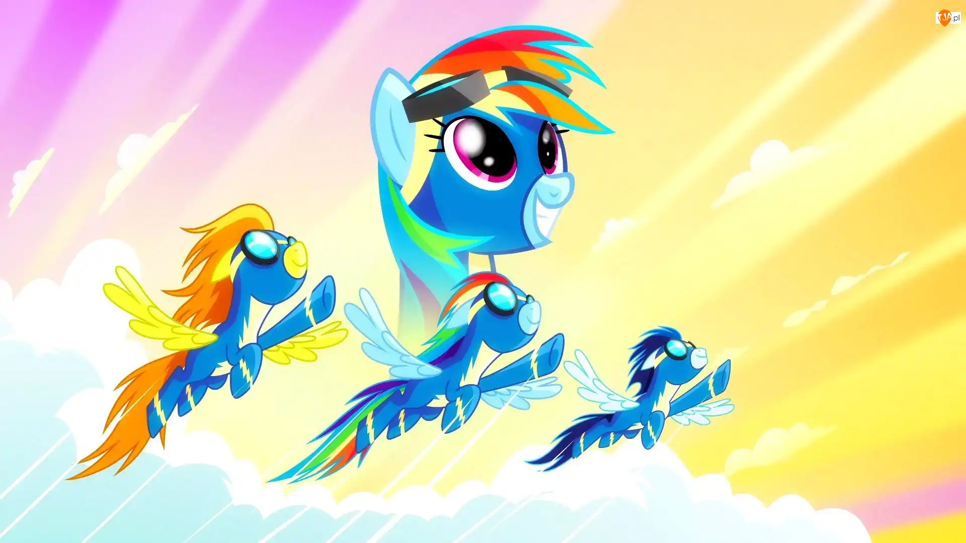 Rainbow Dash, Soarin, Wonderbolts, My Little Pont, Spitfire