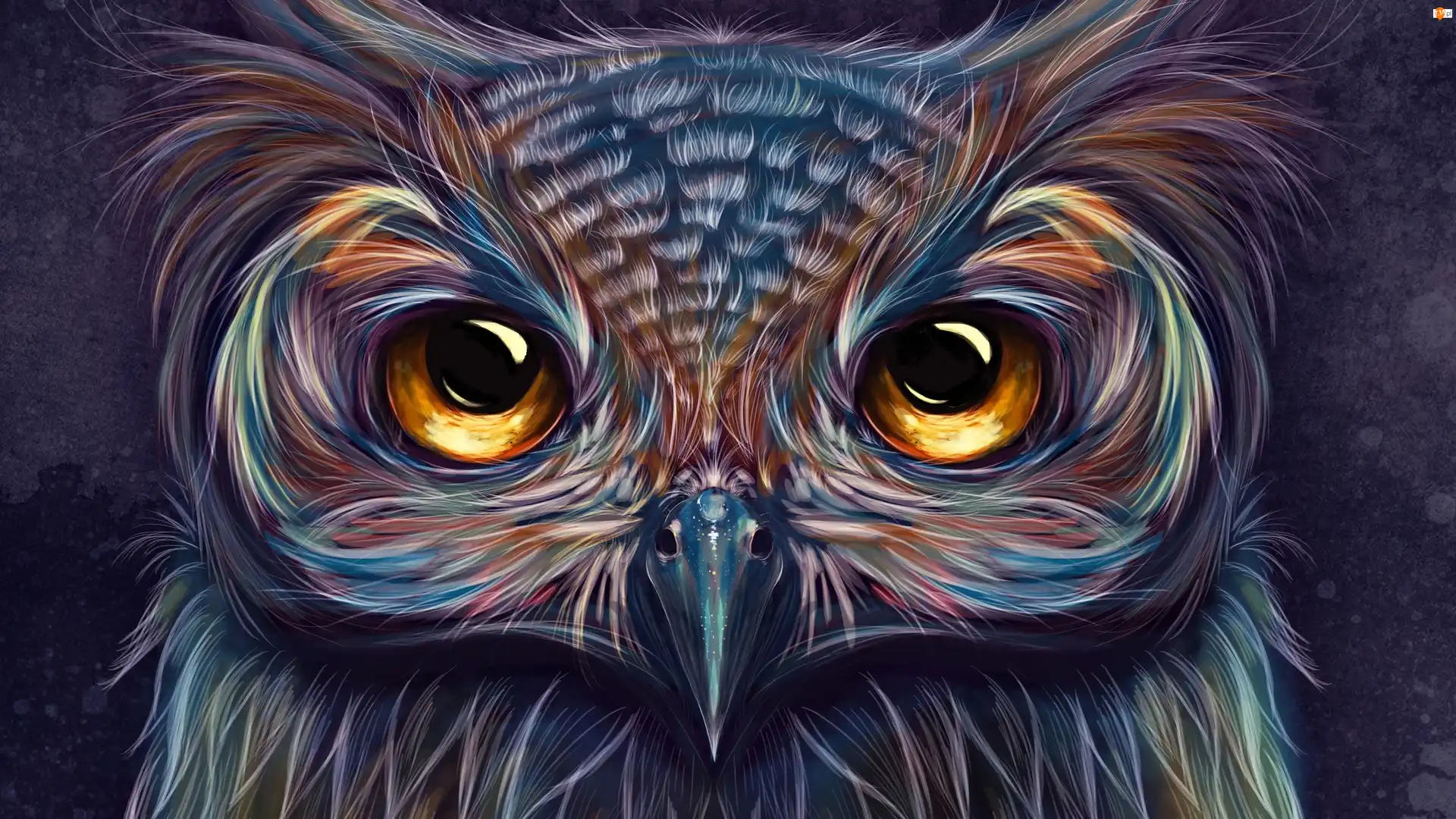 Paintography, Sowa