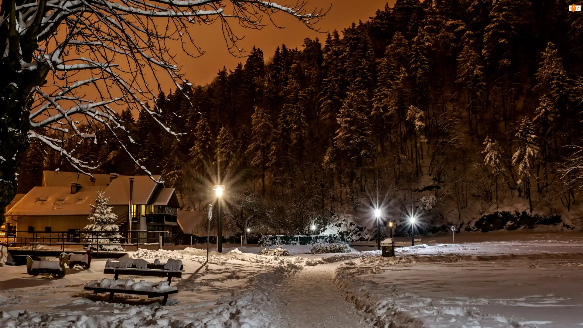 Drzewa, Zima, Latarnie, Chorwacja, Dom, Ławki