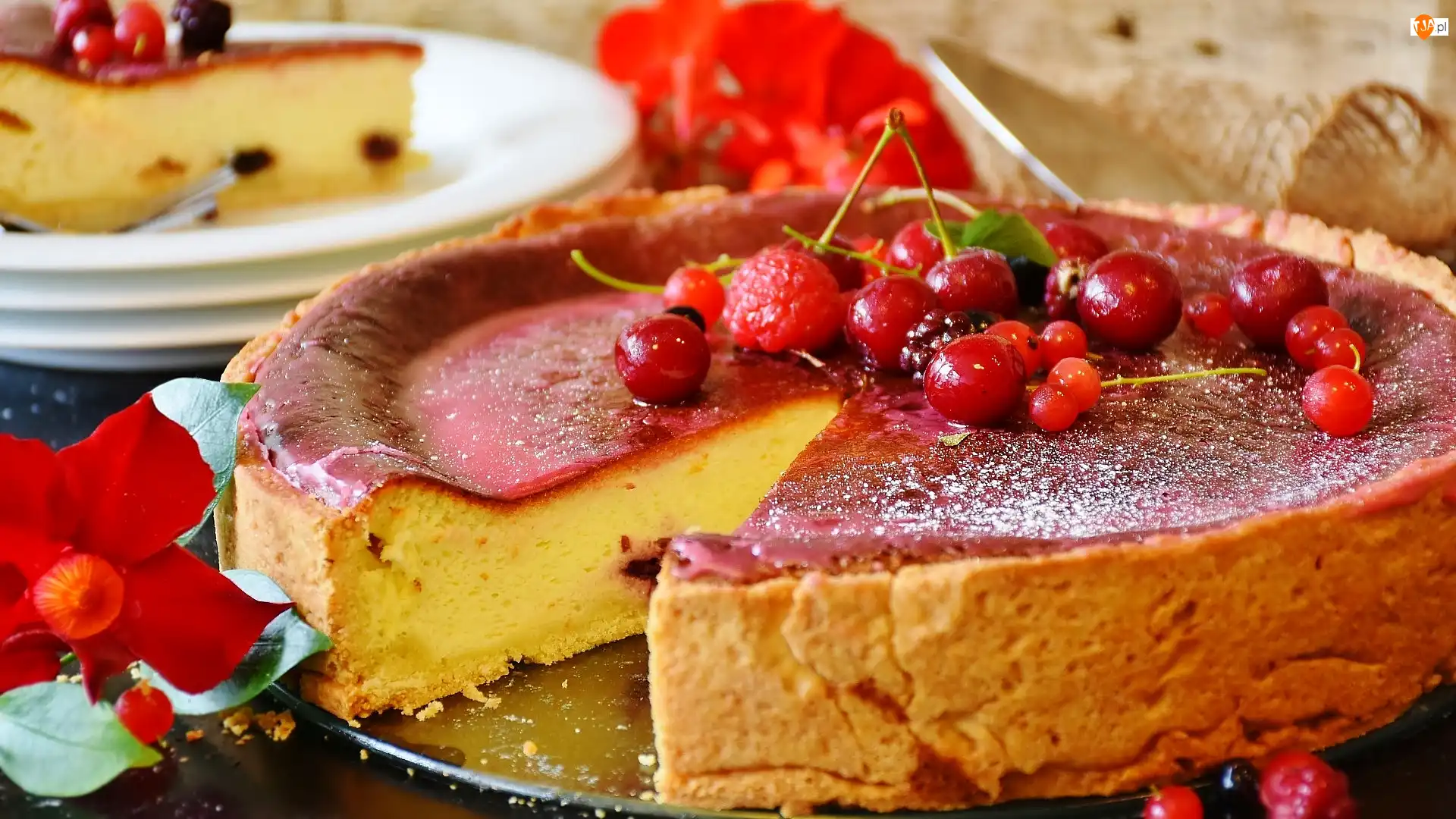 Sernik, Ciasto, Wiśnie, Czerwony kwiat, Maliny, Porzeczki