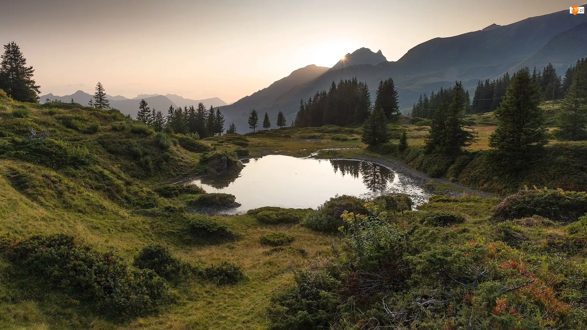Góry Alpy Berneńskie, Przełęcz Grosse Scheidegg, Słońce, Szwajcaria, Rośliny, Drzewa, Jezioro