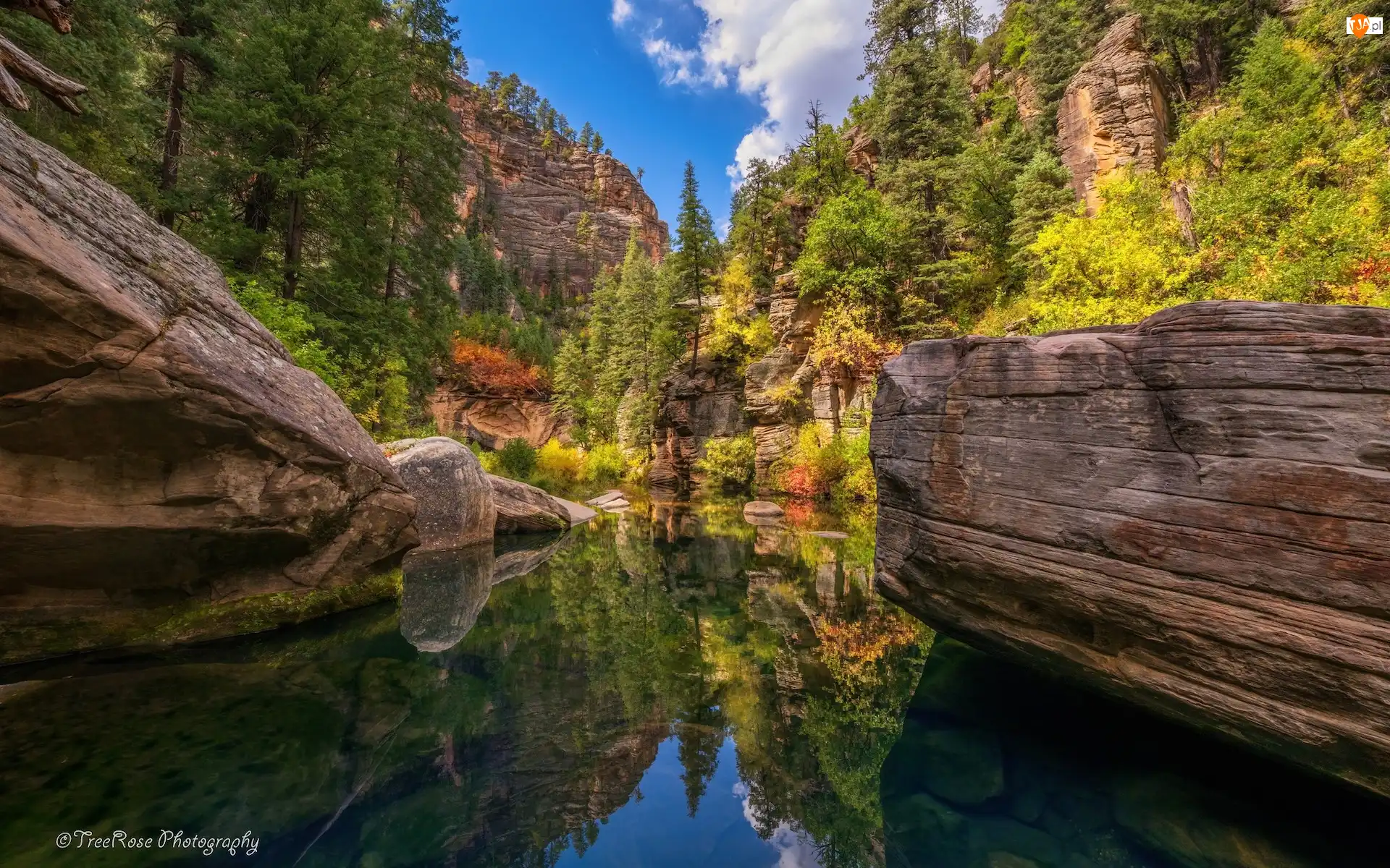 Odbicie, Arizona, Drzewa, Rzeka, West Fork of Oak Creek, Sedona, Skały, Stany Zjednoczone, Wąwóz
