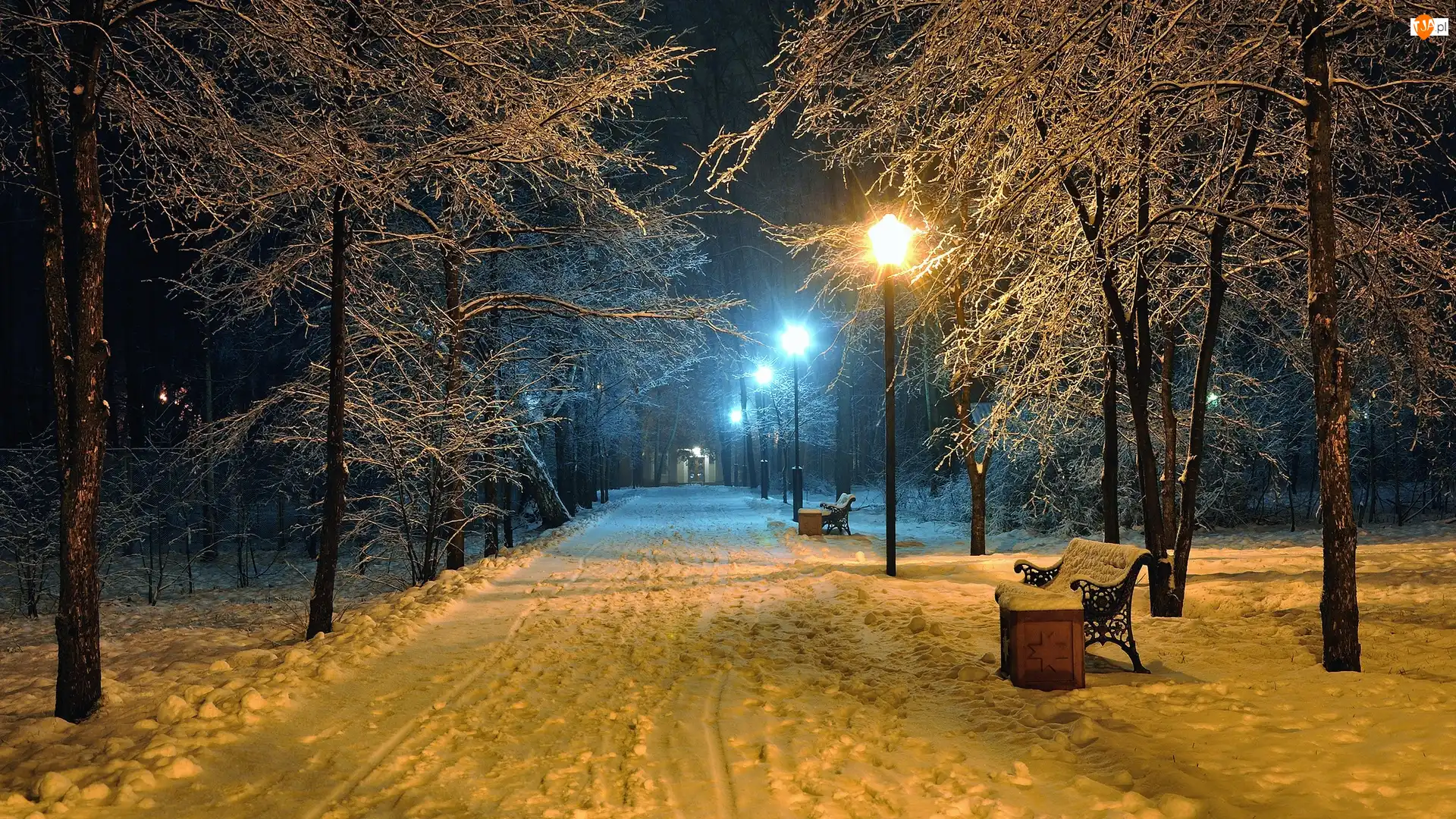 Park, Zima, Latarnie, Drzewa, Ławki, Ośnieżone