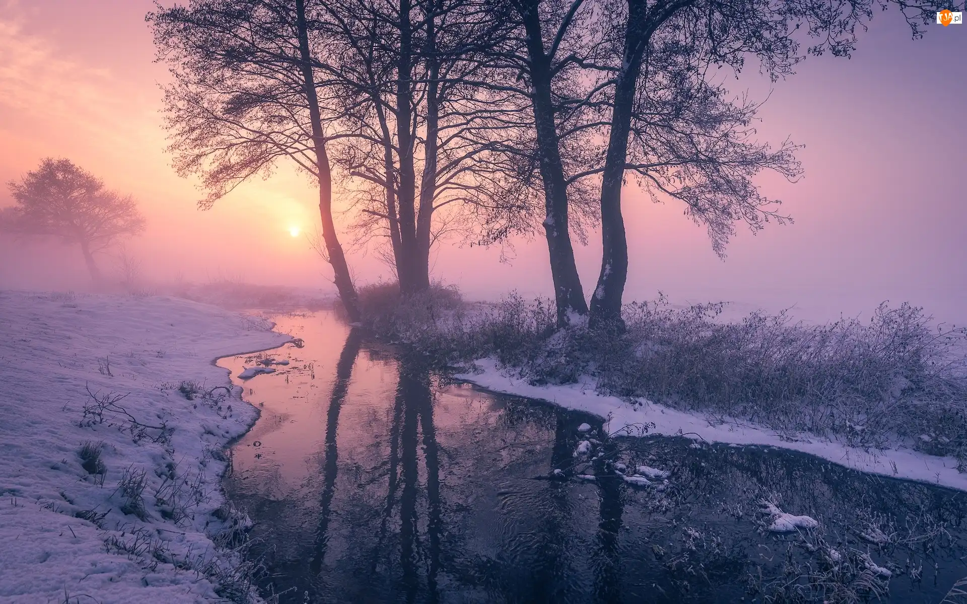 Zima, Śnieg, Mgła, Rzeka, Krzewy, Przebijające światło, Drzewa